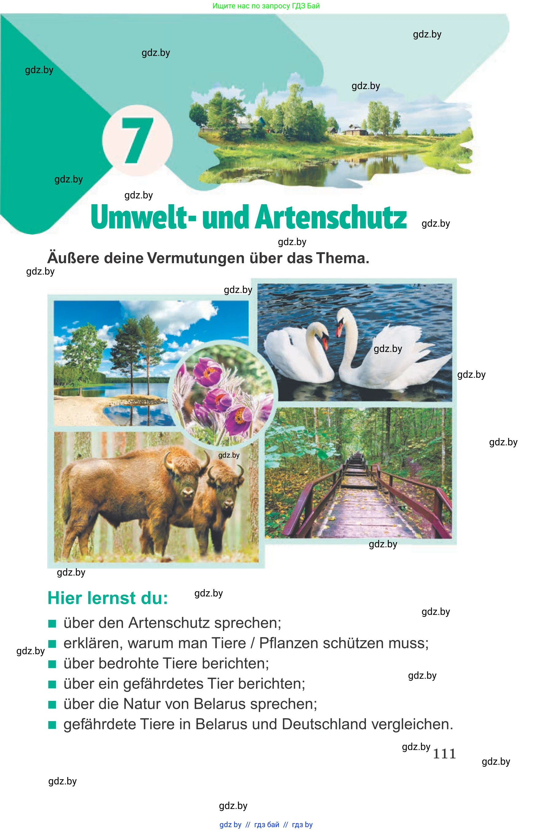 Немецкий язык (Deutsch), 6 класс Учебник (Schülerbuch), авторы: Зуевская Елена Викторовна, Салынская Светлана Ивановна, Негурэ Ольга Вячеславовна, издательство Вышэйшая школа, Минск, 2022, жёлтого цвета, страница 111
