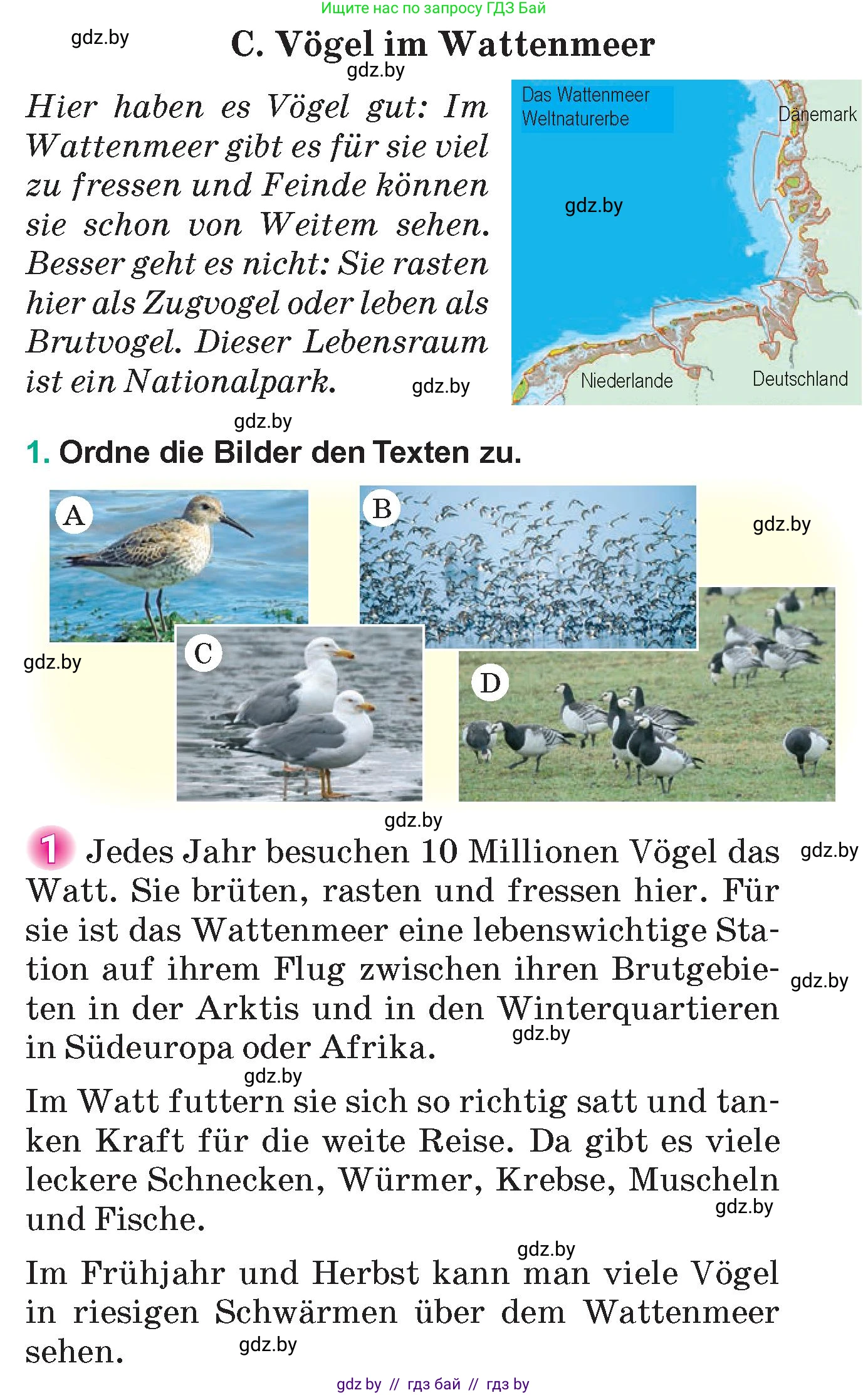 Немецкий язык (Deutsch), 6 класс Учебник (Schülerbuch), авторы: Зуевская Елена Викторовна, Салынская Светлана Ивановна, Негурэ Ольга Вячеславовна, издательство Вышэйшая школа, Минск, 2022, жёлтого цвета, Teil 2, страница 162, номер 1, Условие