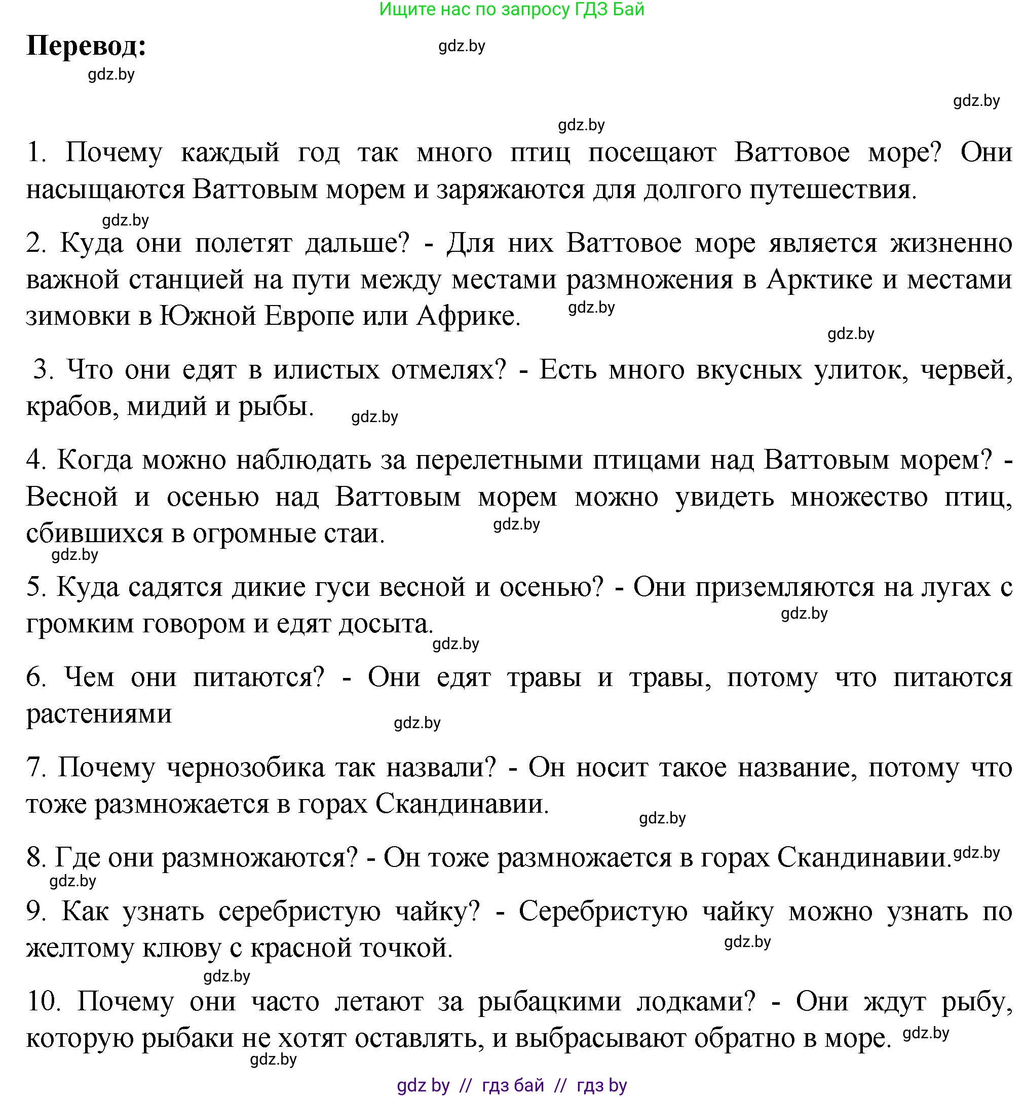 Немецкий язык (Deutsch), 6 класс Учебник (Schülerbuch), авторы: Зуевская Елена Викторовна, Салынская Светлана Ивановна, Негурэ Ольга Вячеславовна, издательство Вышэйшая школа, Минск, 2022, жёлтого цвета, Teil 2, страница 163, номер 2, Решение (продолжение 2)