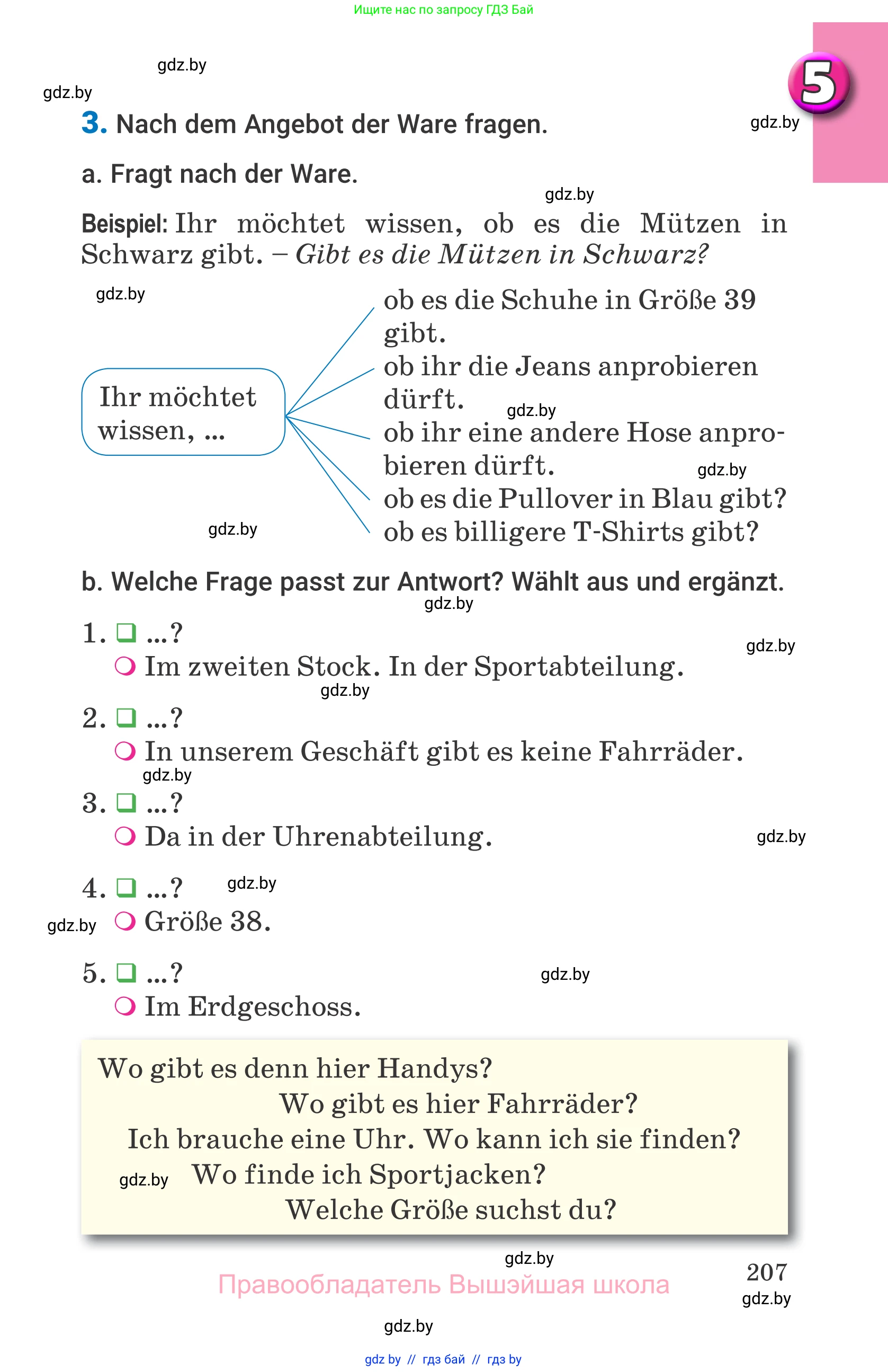 Немецкий язык (Deutsch), 7 класс Учебник (Schülerbuch), авторы: Будько Антонина Филипповна (Budjko Antonina), Урбанович Инна Ювинальевна (Urbanowitsch Ina), издательство Вышэйшая школа, Минск, 2021, страница 207