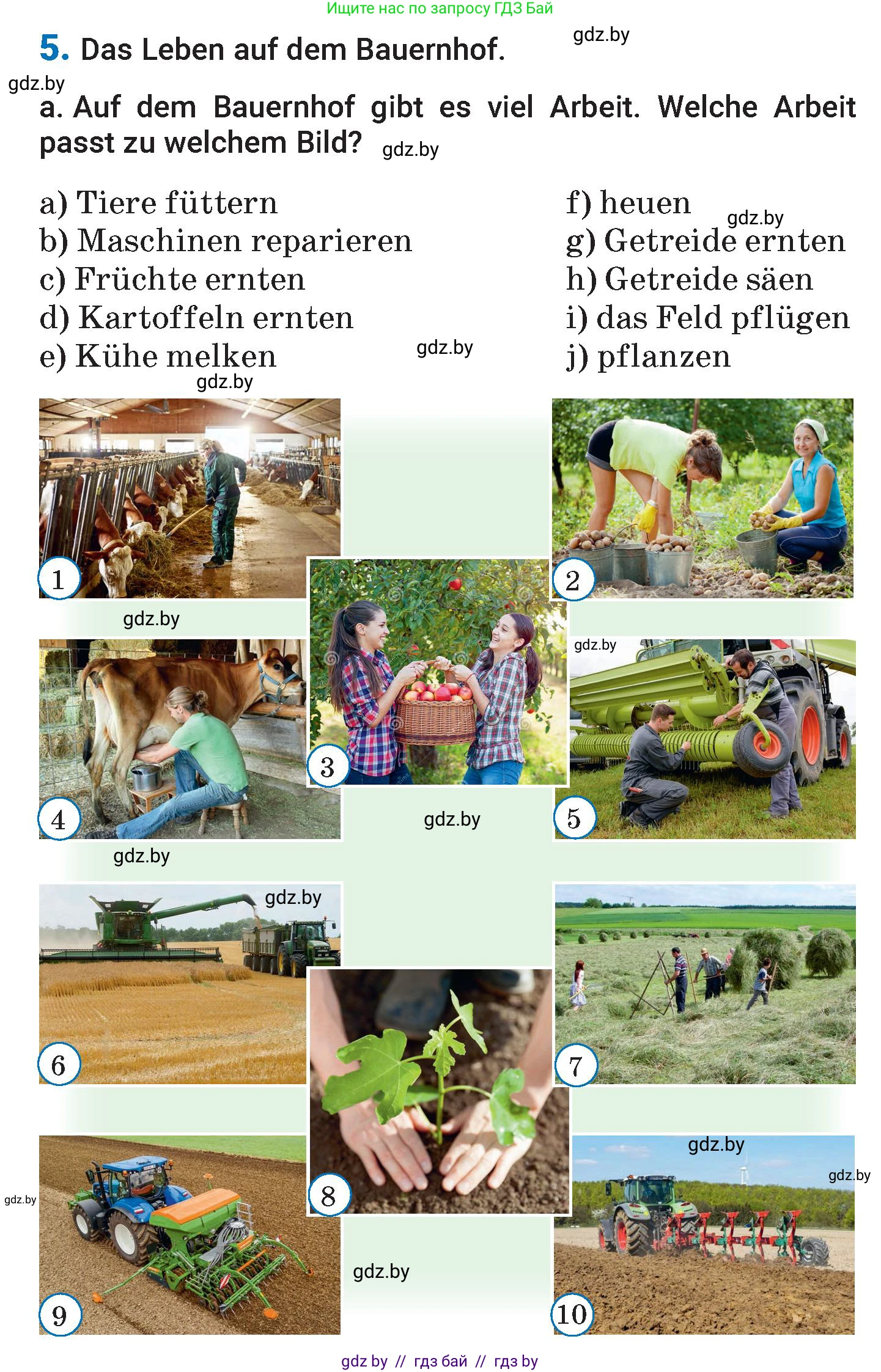 Немецкий язык (Deutsch), 7 класс Учебник (Schülerbuch), авторы: Будько Антонина Филипповна (Budjko Antonina), Урбанович Инна Ювинальевна (Urbanowitsch Ina), издательство Вышэйшая школа, Минск, 2021, страница 158, номер 5, Условие