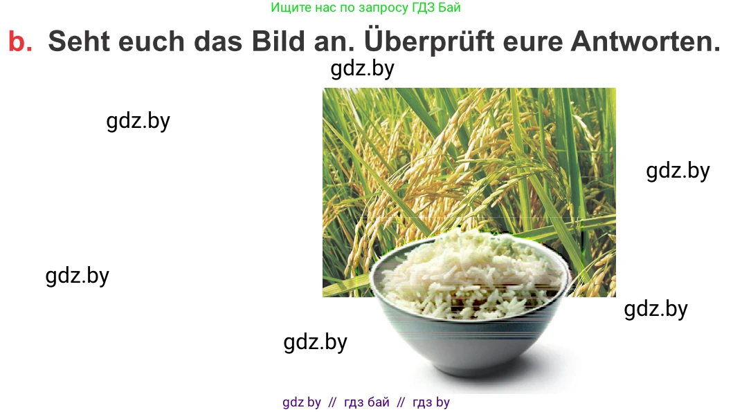 Немецкий язык (Deutsch), 8 класс Учебник (Schülerbuch), авторы: Будько Антонина Филипповна (Budjko Antonina), Урбанович Инна Ювинальевна (Urbanowitsch Ina), издательство Вышэйшая школа, Минск, 2018, страница 222, номер 6b, Условие