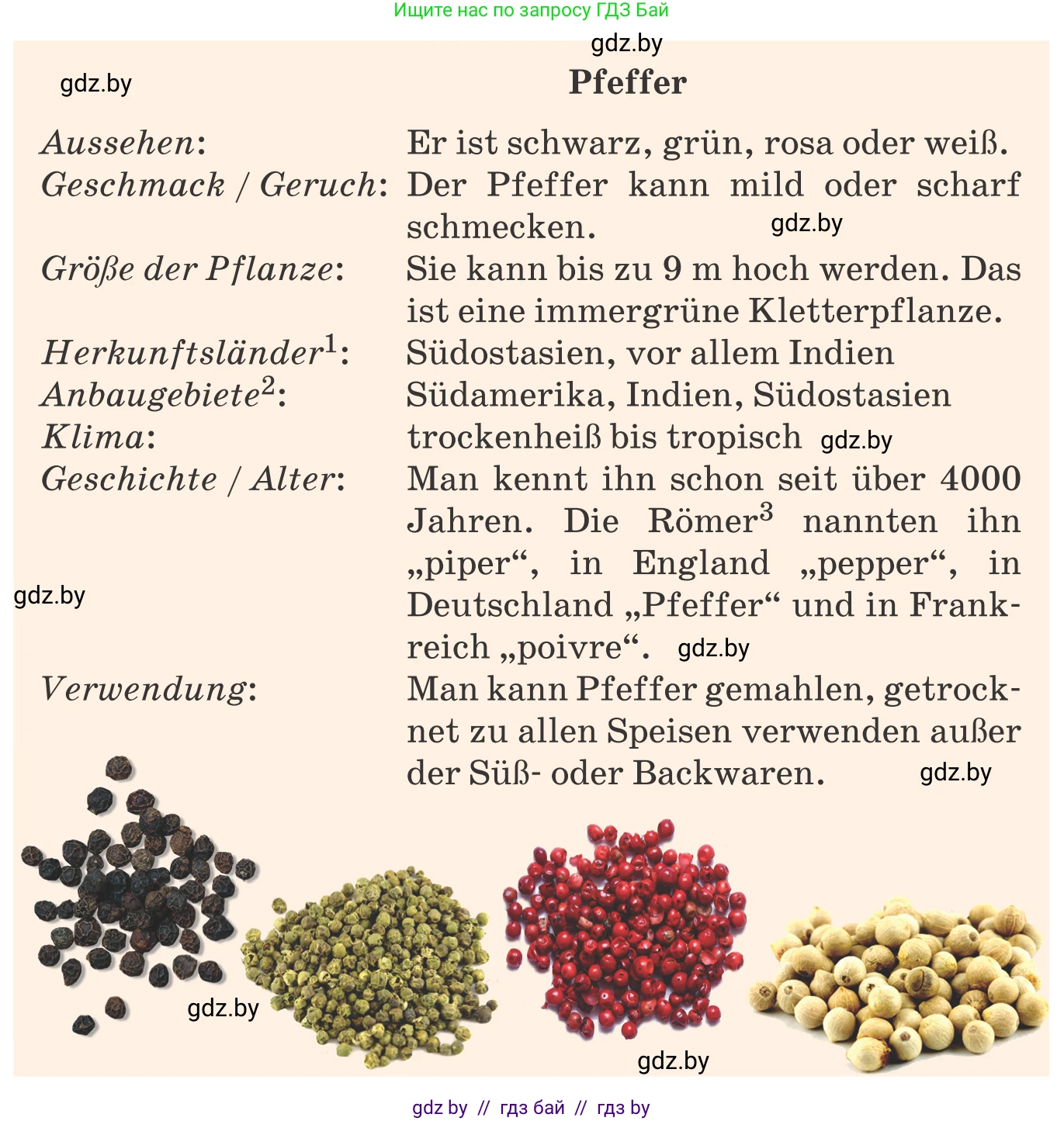 Немецкий язык (Deutsch), 8 класс Учебник (Schülerbuch), авторы: Будько Антонина Филипповна (Budjko Antonina), Урбанович Инна Ювинальевна (Urbanowitsch Ina), издательство Вышэйшая школа, Минск, 2018, страница 226, номер 9f, Условие (продолжение 2)