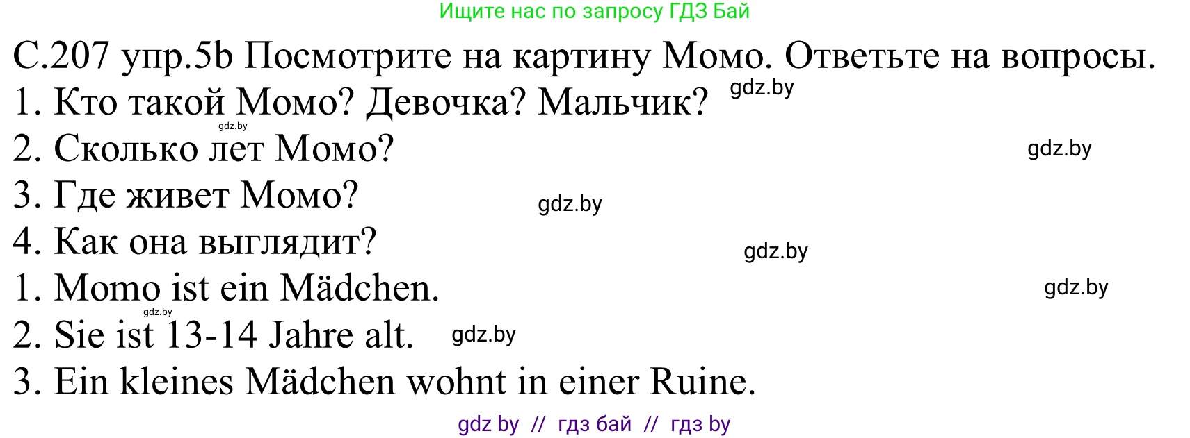 Немецкий язык (Deutsch), 8 класс Учебник (Schülerbuch), авторы: Будько Антонина Филипповна (Budjko Antonina), Урбанович Инна Ювинальевна (Urbanowitsch Ina), издательство Вышэйшая школа, Минск, 2018, страница 207, номер 5b, Решение