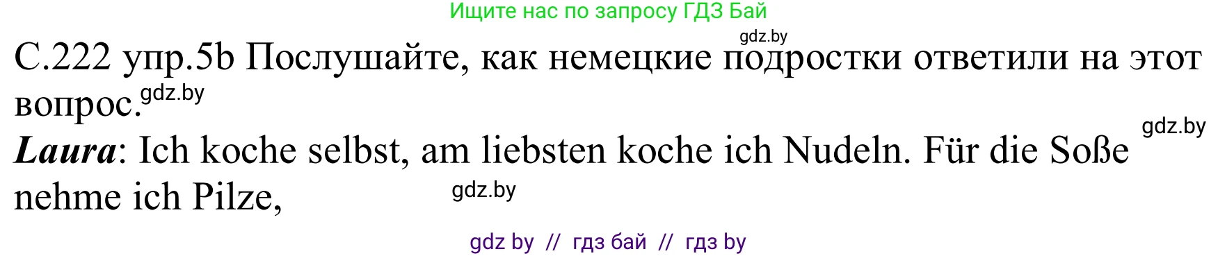 Немецкий язык (Deutsch), 8 класс Учебник (Schülerbuch), авторы: Будько Антонина Филипповна (Budjko Antonina), Урбанович Инна Ювинальевна (Urbanowitsch Ina), издательство Вышэйшая школа, Минск, 2018, страница 222, номер 5b, Решение