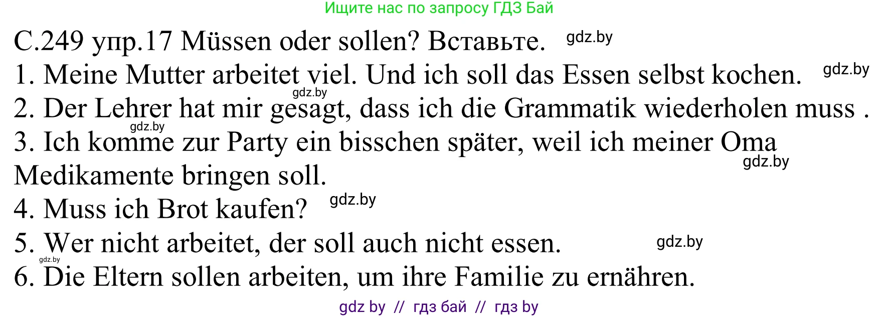 Немецкий язык (Deutsch), 8 класс Учебник (Schülerbuch), авторы: Будько Антонина Филипповна (Budjko Antonina), Урбанович Инна Ювинальевна (Urbanowitsch Ina), издательство Вышэйшая школа, Минск, 2018, страница 249, номер 17, Решение