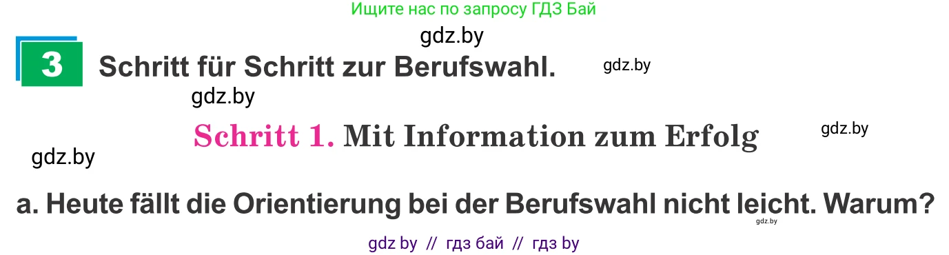 Немецкий язык (Deutsch), 9 класс Учебник (Schülerbuch), авторы: Будько Антонина Филипповна (Budjko Antonina), Урбанович Инна Ювинальевна (Urbanowitsch Ina), издательство Вышэйшая школа, Минск, 2018, серого цвета, страница 30, номер 3a, Условие