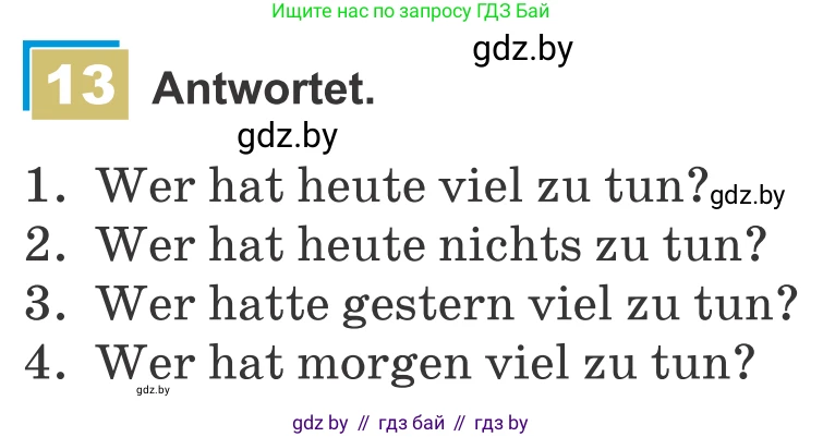 Немецкий язык (Deutsch), 9 класс Учебник (Schülerbuch), авторы: Будько Антонина Филипповна (Budjko Antonina), Урбанович Инна Ювинальевна (Urbanowitsch Ina), издательство Вышэйшая школа, Минск, 2018, серого цвета, страница 166, номер 13, Условие