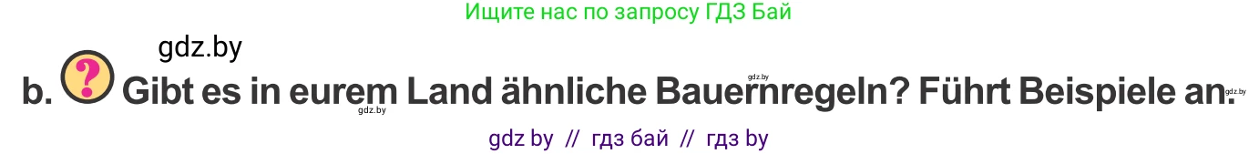 Немецкий язык (Deutsch), 9 класс Учебник (Schülerbuch), авторы: Будько Антонина Филипповна (Budjko Antonina), Урбанович Инна Ювинальевна (Urbanowitsch Ina), издательство Вышэйшая школа, Минск, 2018, серого цвета, страница 228, номер 10b, Условие