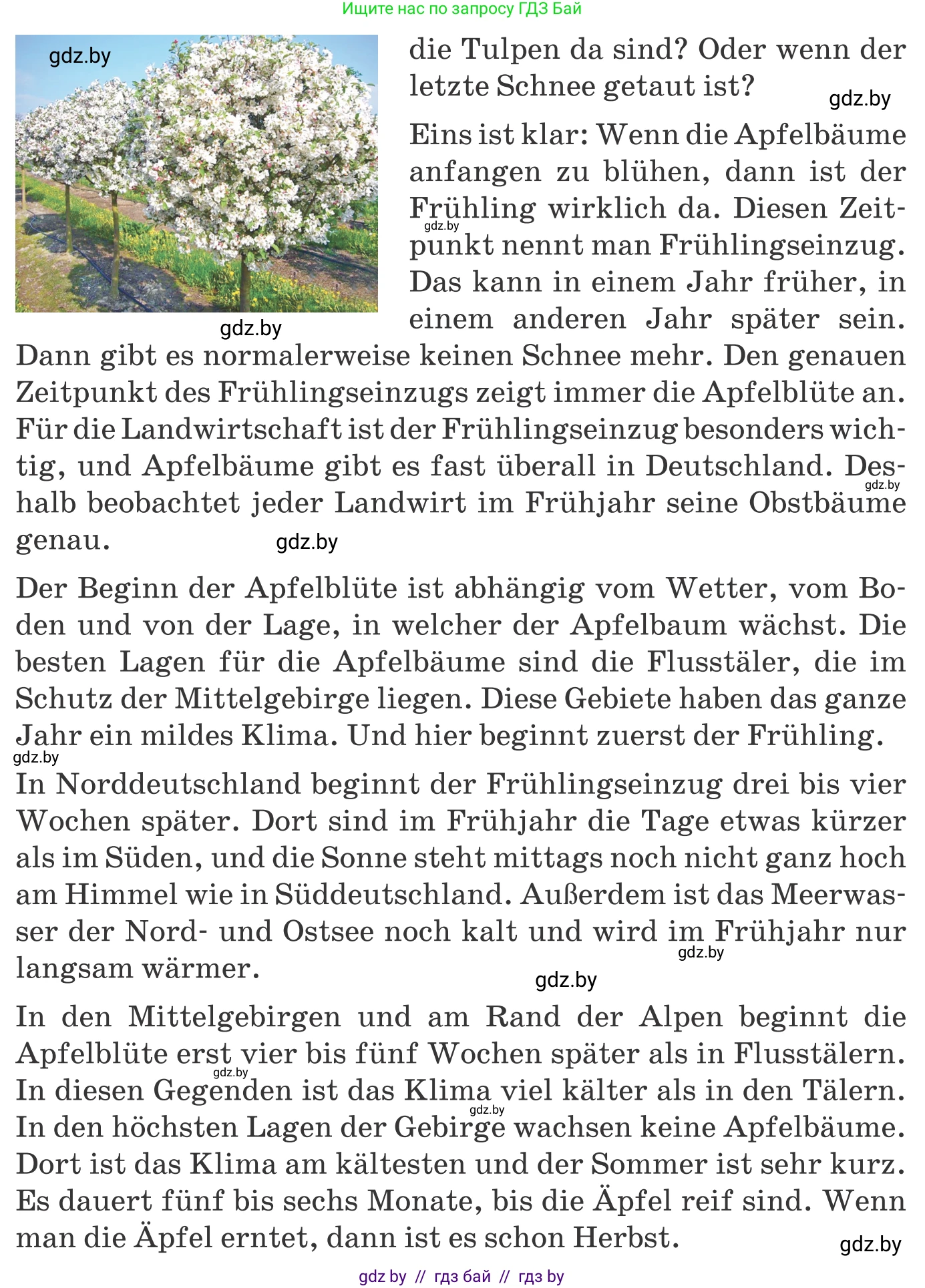 Немецкий язык (Deutsch), 9 класс Учебник (Schülerbuch), авторы: Будько Антонина Филипповна (Budjko Antonina), Урбанович Инна Ювинальевна (Urbanowitsch Ina), издательство Вышэйшая школа, Минск, 2018, серого цвета, страница 239, номер 1b, Условие (продолжение 2)