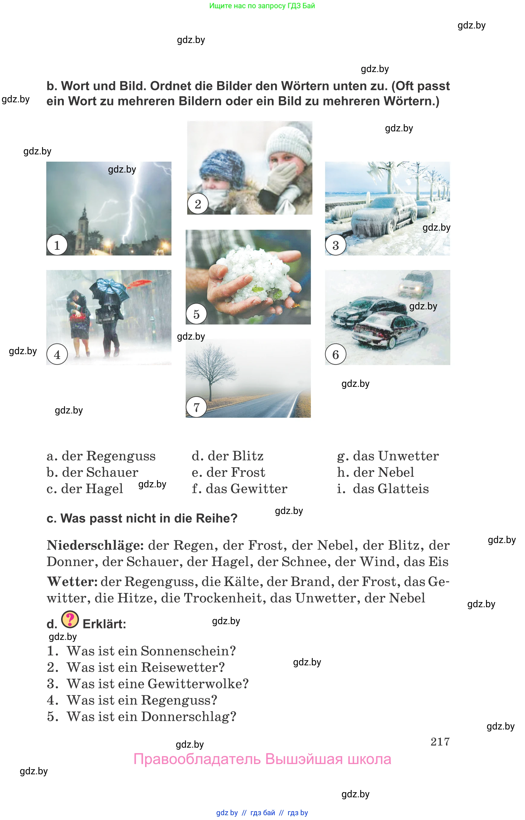 Немецкий язык (Deutsch), 9 класс Учебник (Schülerbuch), авторы: Будько Антонина Филипповна (Budjko Antonina), Урбанович Инна Ювинальевна (Urbanowitsch Ina), издательство Вышэйшая школа, Минск, 2018, серого цвета, страница 217
