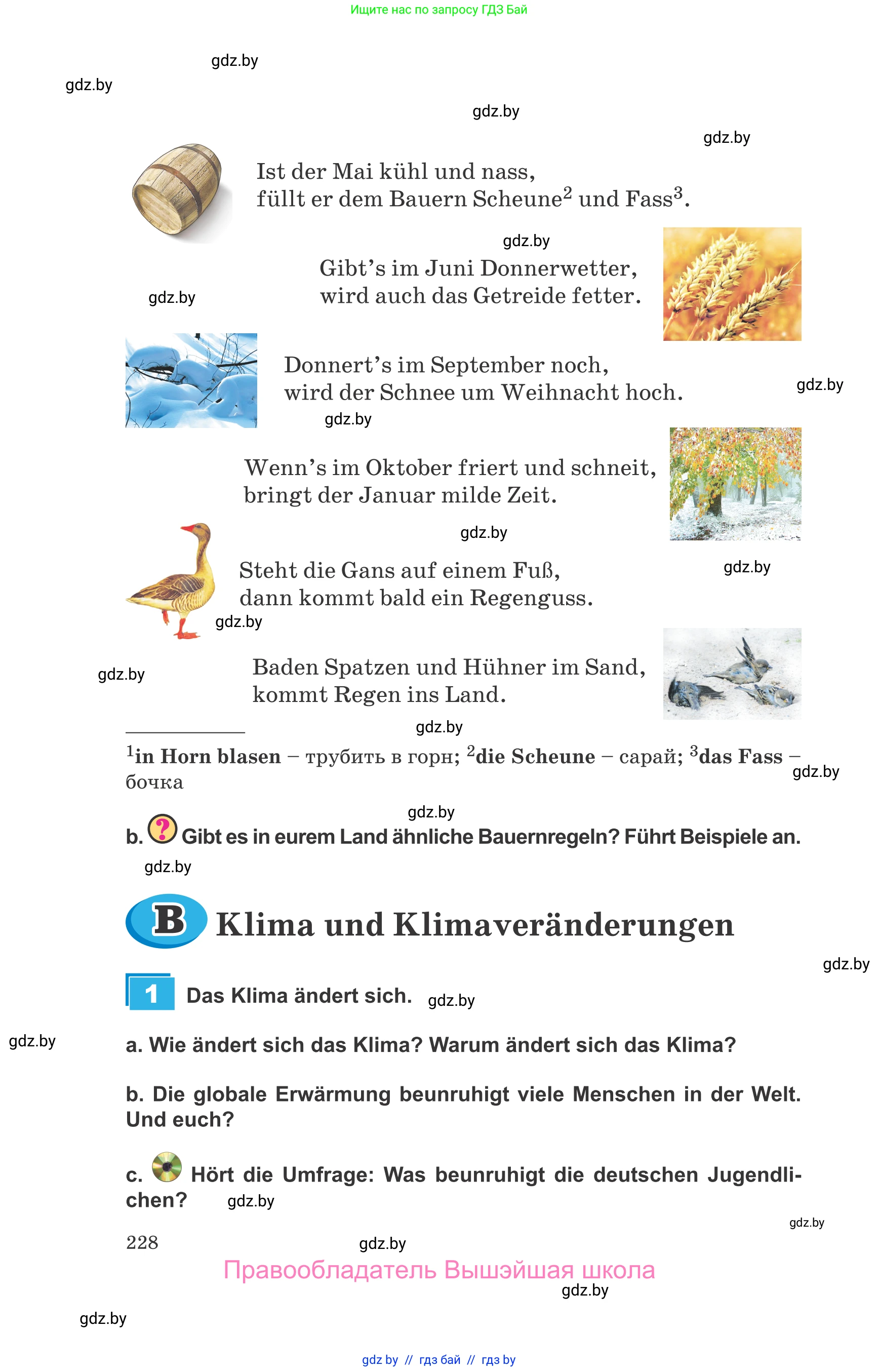 Немецкий язык (Deutsch), 9 класс Учебник (Schülerbuch), авторы: Будько Антонина Филипповна (Budjko Antonina), Урбанович Инна Ювинальевна (Urbanowitsch Ina), издательство Вышэйшая школа, Минск, 2018, серого цвета, страница 228