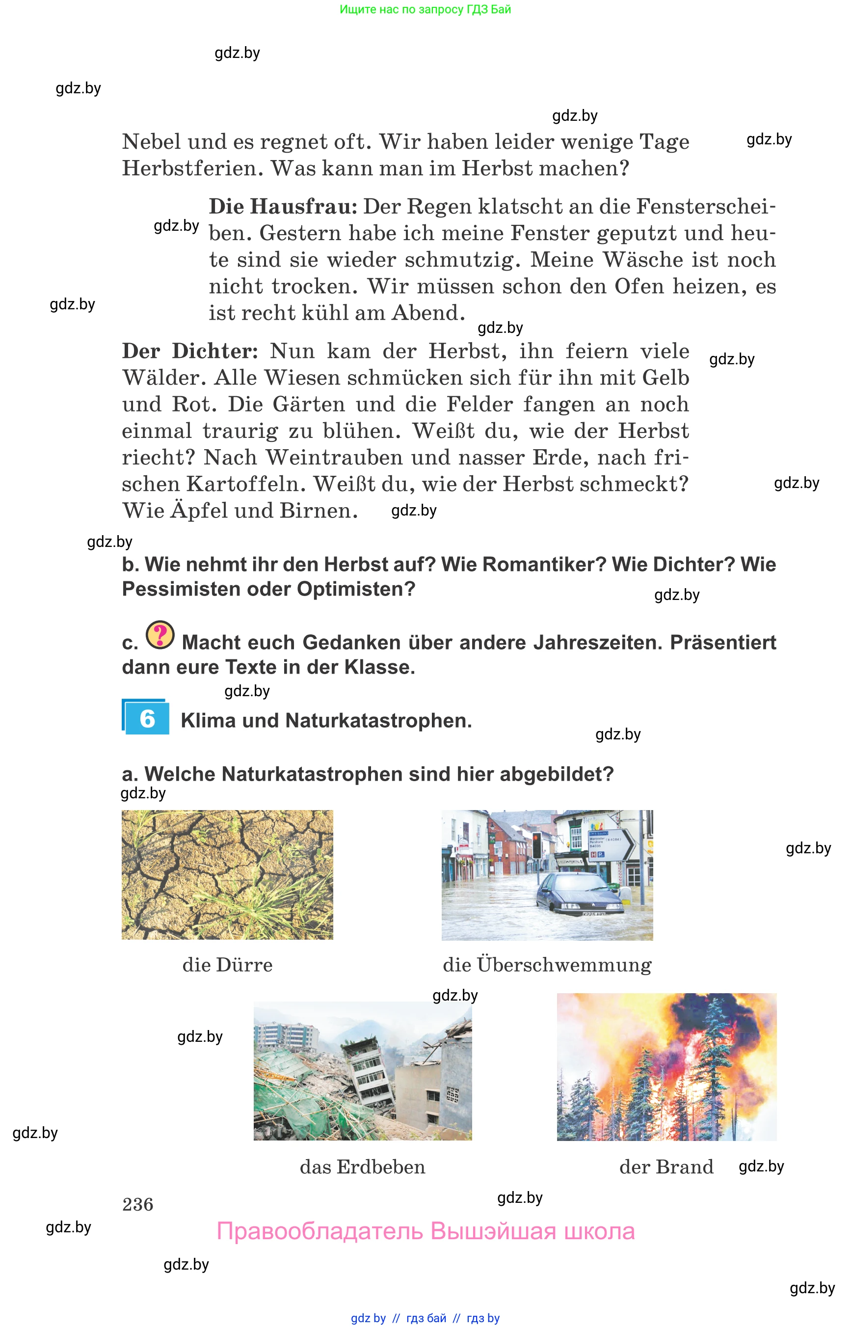 Немецкий язык (Deutsch), 9 класс Учебник (Schülerbuch), авторы: Будько Антонина Филипповна (Budjko Antonina), Урбанович Инна Ювинальевна (Urbanowitsch Ina), издательство Вышэйшая школа, Минск, 2018, серого цвета, страница 236