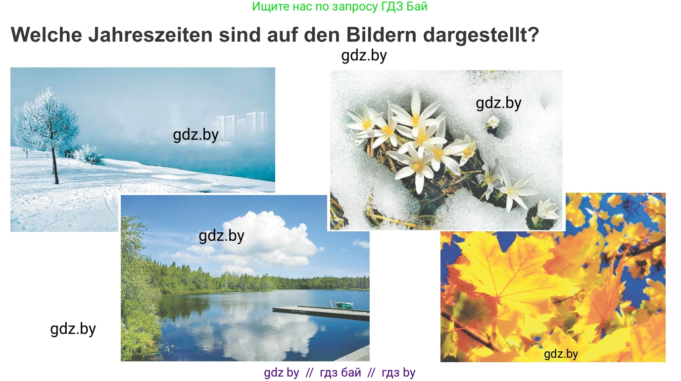 Немецкий язык (Deutsch), 9 класс Учебник (Schülerbuch), авторы: Будько Антонина Филипповна (Budjko Antonina), Урбанович Инна Ювинальевна (Urbanowitsch Ina), издательство Вышэйшая школа, Минск, 2018, серого цвета, страница 215, номер 1, Условие