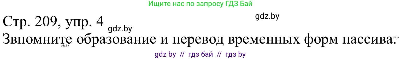 Немецкий язык (Deutsch), 9 класс Учебник (Schülerbuch), авторы: Будько Антонина Филипповна (Budjko Antonina), Урбанович Инна Ювинальевна (Urbanowitsch Ina), издательство Вышэйшая школа, Минск, 2018, серого цвета, страница 209, номер 4, Решение