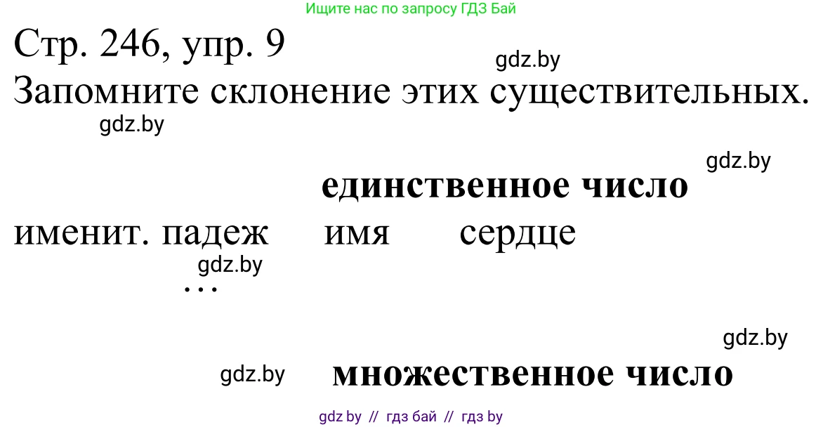 Немецкий язык (Deutsch), 9 класс Учебник (Schülerbuch), авторы: Будько Антонина Филипповна (Budjko Antonina), Урбанович Инна Ювинальевна (Urbanowitsch Ina), издательство Вышэйшая школа, Минск, 2018, серого цвета, страница 246, номер 9, Решение