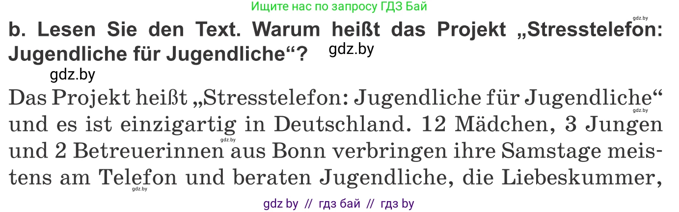 Немецкий язык (Deutsch), 10 класс Учебник (Schülerbuch), авторы: Будько Антонина Филипповна (Budjko Antonina), Урбанович Инна Ювинальевна (Urbanowitsch Ina), издательство Вышэйшая школа, Минск, 2018, оранжевого цвета, страница 213, номер 3b, Условие