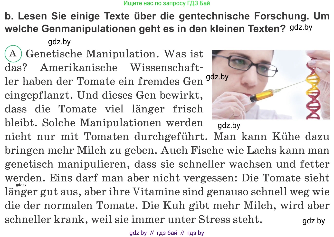 Немецкий язык (Deutsch), 10 класс Учебник (Schülerbuch), авторы: Будько Антонина Филипповна (Budjko Antonina), Урбанович Инна Ювинальевна (Urbanowitsch Ina), издательство Вышэйшая школа, Минск, 2018, оранжевого цвета, страница 222, номер 3b, Условие