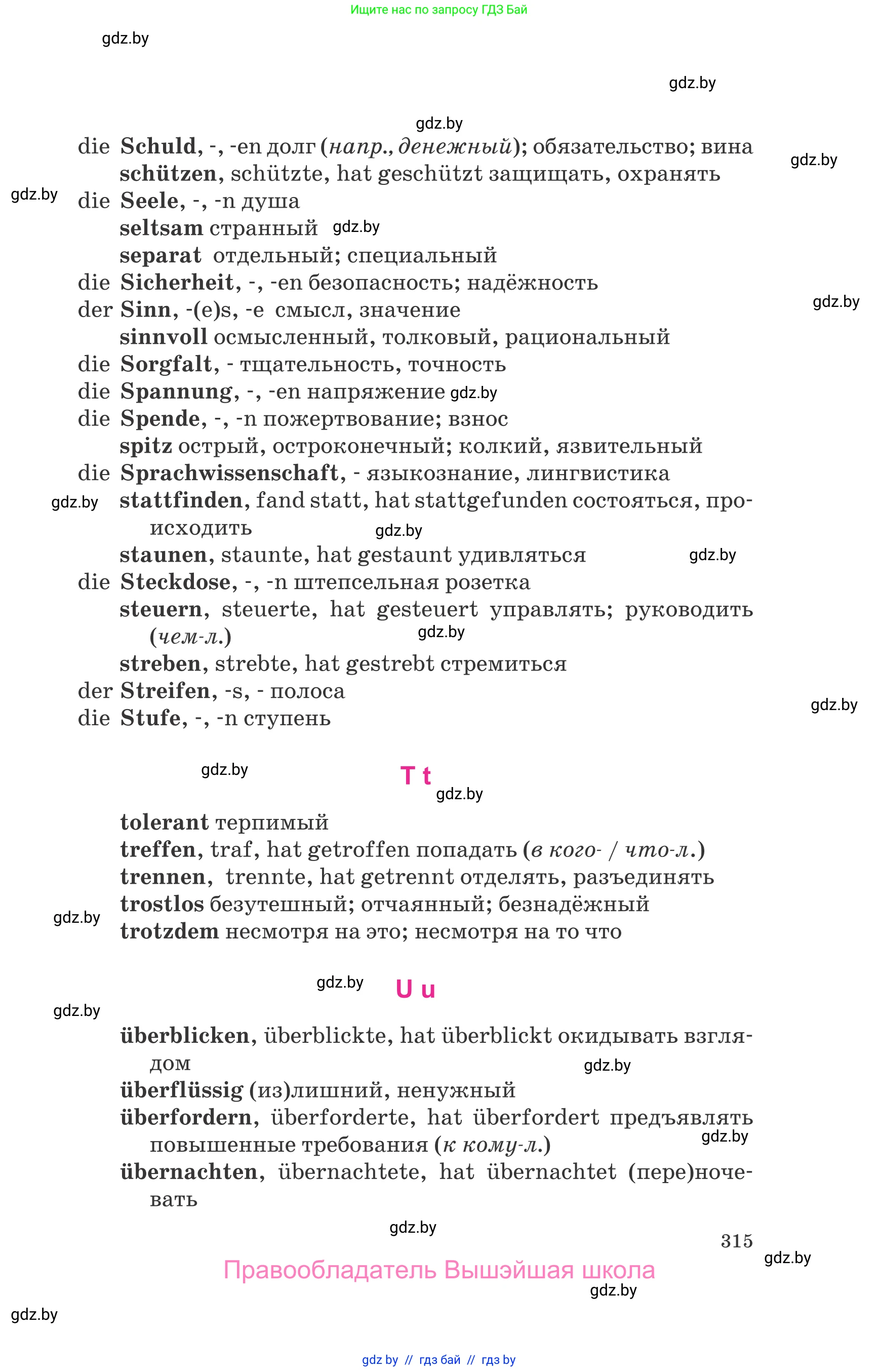 Немецкий язык (Deutsch), 10 класс Учебник (Schülerbuch), авторы: Будько Антонина Филипповна (Budjko Antonina), Урбанович Инна Ювинальевна (Urbanowitsch Ina), издательство Вышэйшая школа, Минск, 2018, оранжевого цвета, страница 315