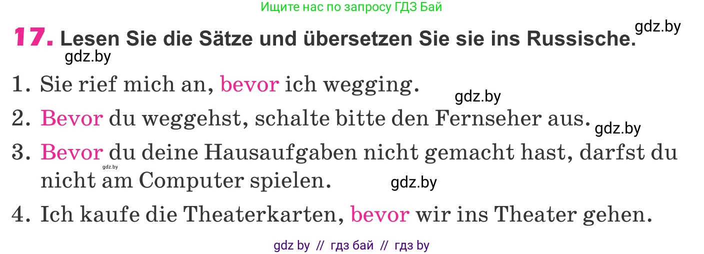 Немецкий язык (Deutsch), 10 класс Учебник (Schülerbuch), авторы: Будько Антонина Филипповна (Budjko Antonina), Урбанович Инна Ювинальевна (Urbanowitsch Ina), издательство Вышэйшая школа, Минск, 2018, оранжевого цвета, страница 299, номер 17, Условие