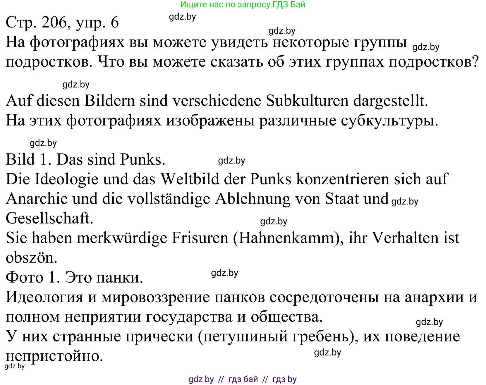 Немецкий язык (Deutsch), 10 класс Учебник (Schülerbuch), авторы: Будько Антонина Филипповна (Budjko Antonina), Урбанович Инна Ювинальевна (Urbanowitsch Ina), издательство Вышэйшая школа, Минск, 2018, оранжевого цвета, страница 206, номер 6a, Решение