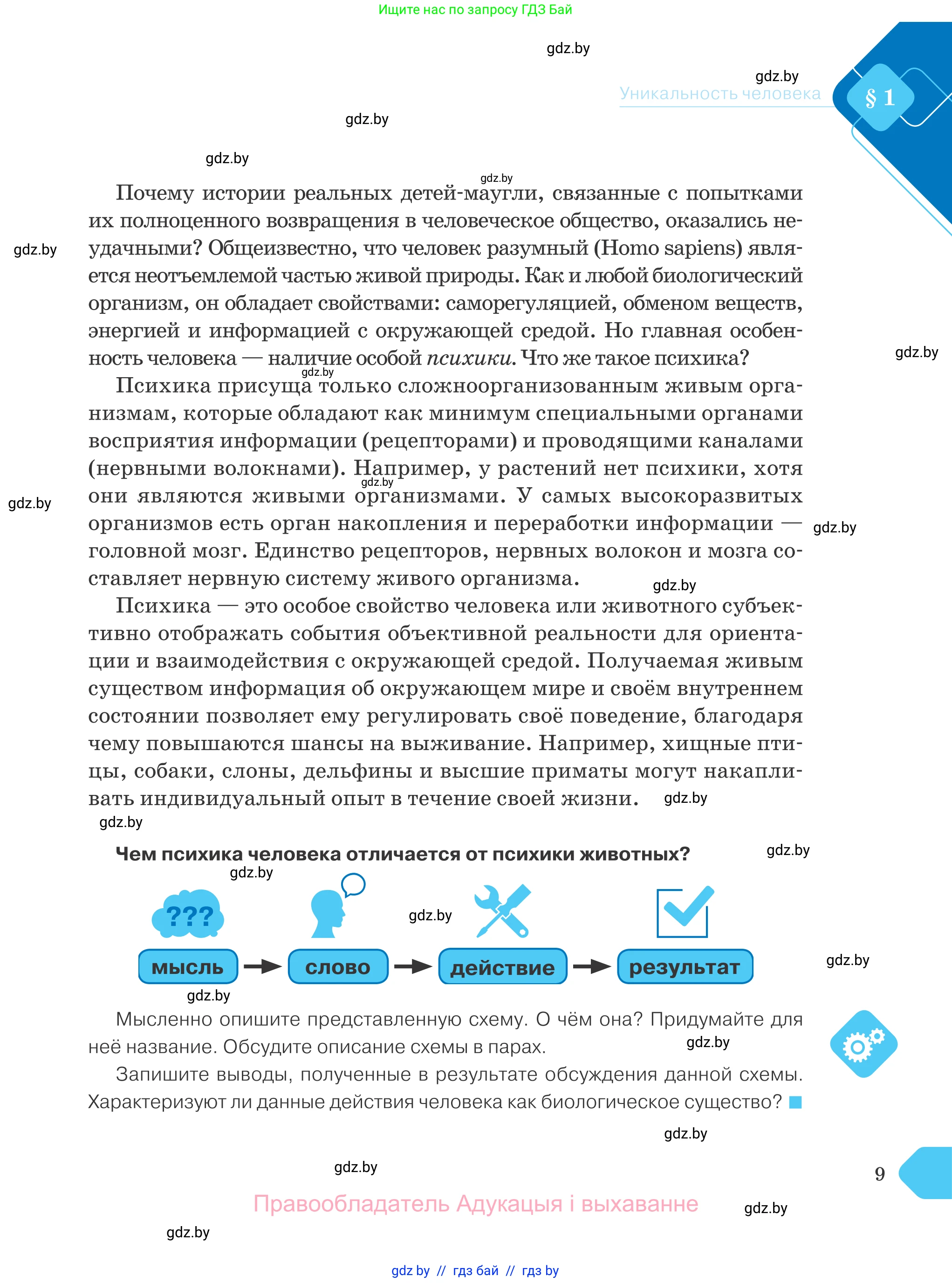 Обществоведение, 9 класс Учебник, авторы: Данилов Александр Николаевич, Полейко Елена Александровна, Кушнер Надежда Васильевна, Бернат Ирина Петровна, Белов А А, Кизима С А, Клецкова И М, Легчилин А А, Солодухо А С, Рубанов А В, издательство Адукацыя i выхаванне, Минск, 2019, жёлтого цвета, страница 9