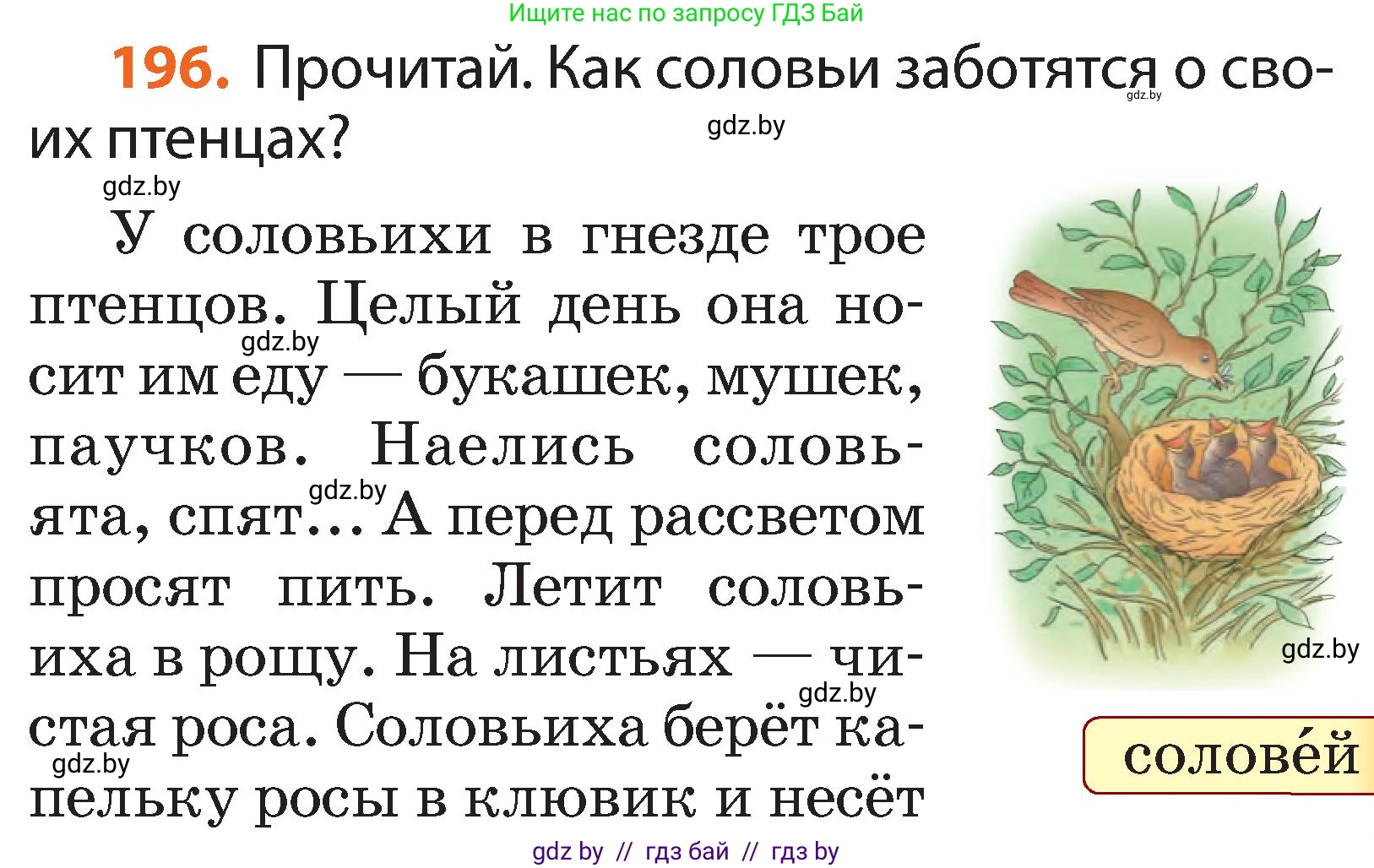 Русский язык, 2 класс Учебник, авторы: Гулецкая Елена Алексеевна, Федорович Галина Михайловна, издательство Национальный институт образования, Минск, 2022, коричневого цвета, Часть 1, страница 119, номер 196, Условие