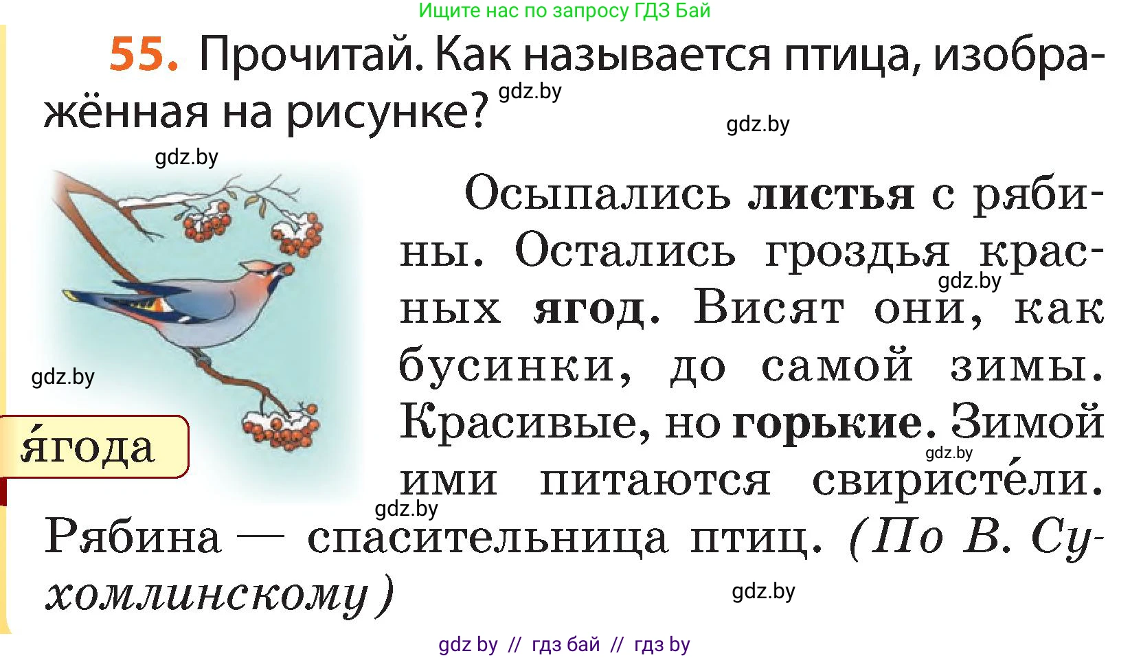 Русский язык, 2 класс Учебник, авторы: Гулецкая Елена Алексеевна, Федорович Галина Михайловна, издательство Национальный институт образования, Минск, 2022, коричневого цвета, Часть 1, страница 38, номер 55, Условие