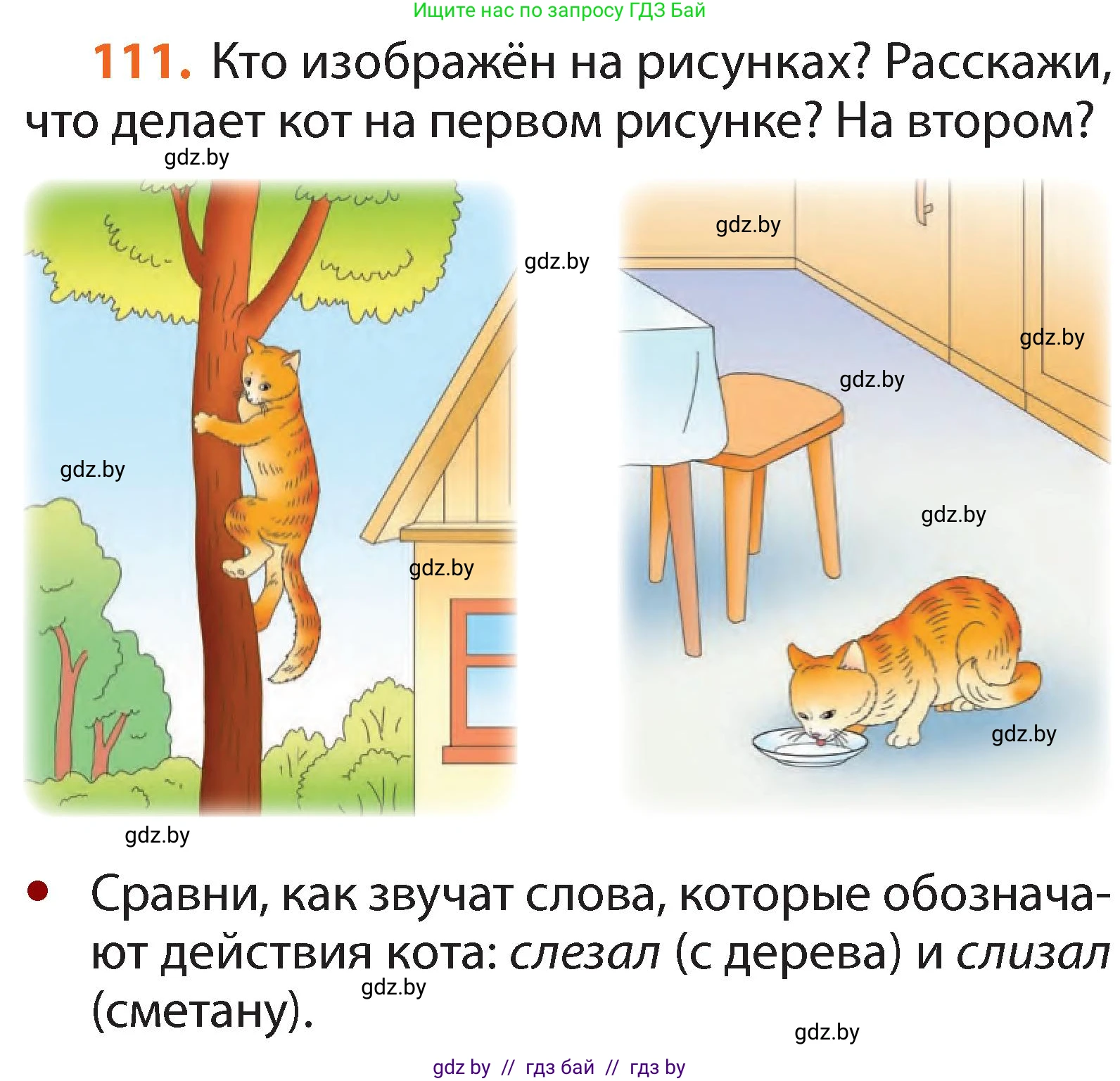 Русский язык, 2 класс Учебник, авторы: Гулецкая Елена Алексеевна, Федорович Галина Михайловна, издательство Национальный институт образования, Минск, 2022, коричневого цвета, Часть 2, страница 81, номер 111, Условие