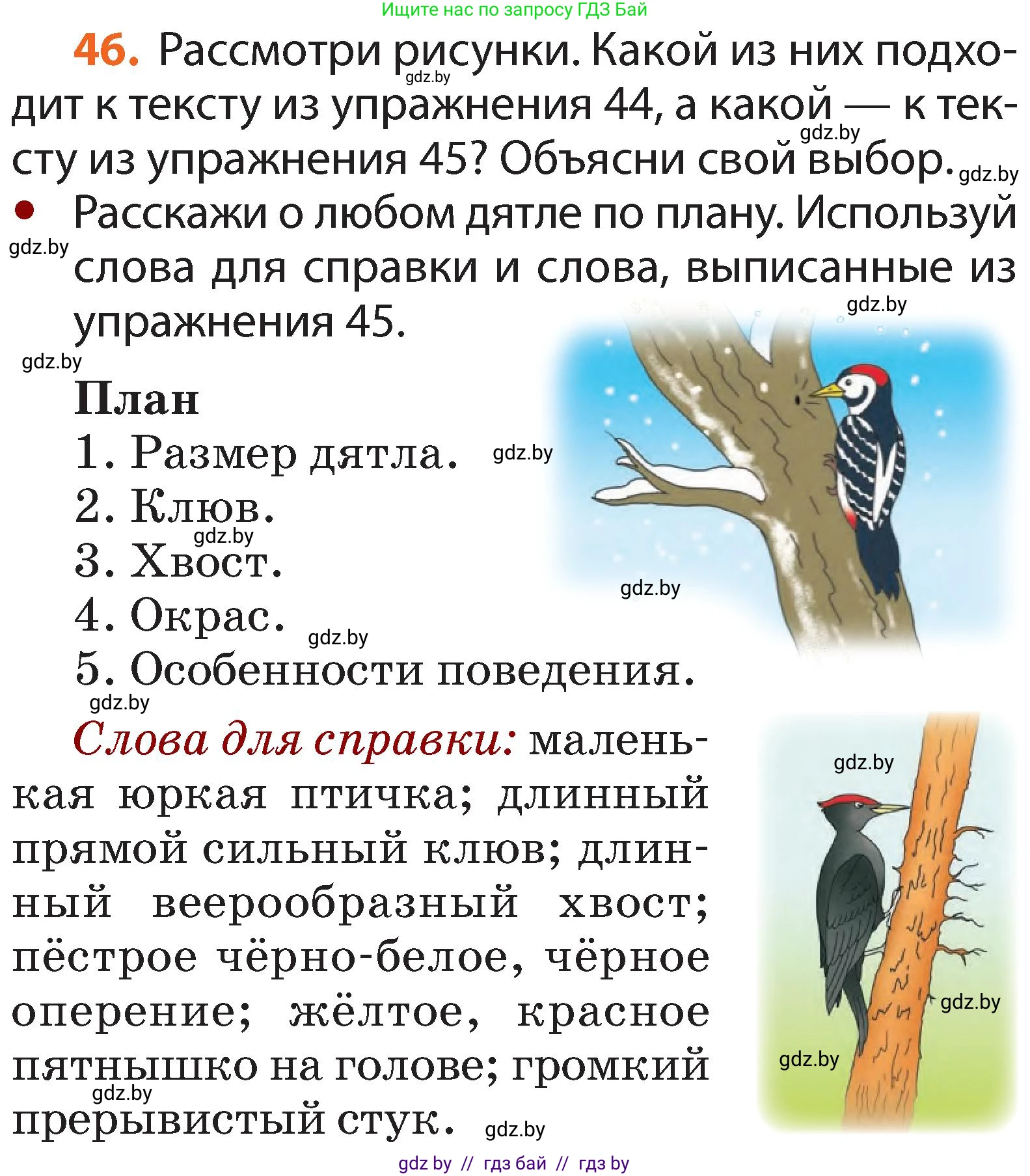 Русский язык, 2 класс Учебник, авторы: Гулецкая Елена Алексеевна, Федорович Галина Михайловна, издательство Национальный институт образования, Минск, 2022, коричневого цвета, Часть 2, страница 37, номер 46, Условие