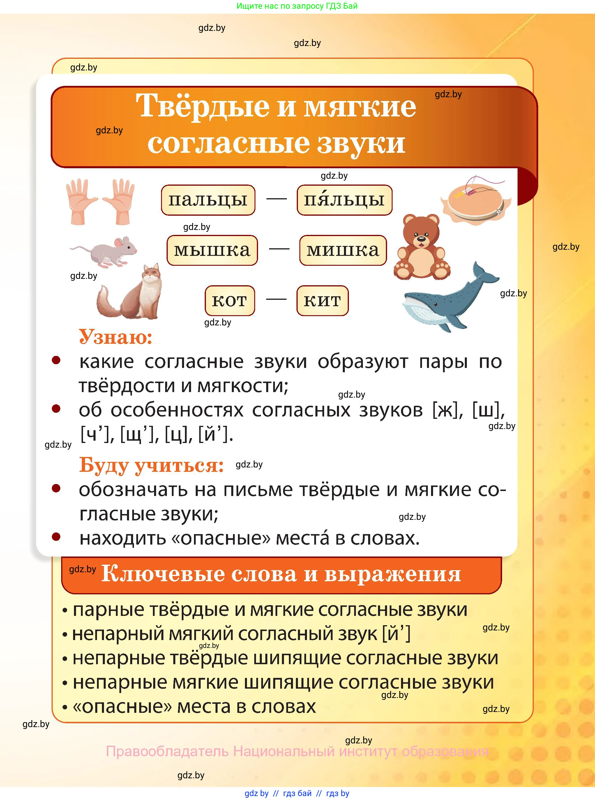 Русский язык, 2 класс Учебник, авторы: Гулецкая Елена Алексеевна, Федорович Галина Михайловна, издательство Национальный институт образования, Минск, 2022, коричневого цвета, страница 41