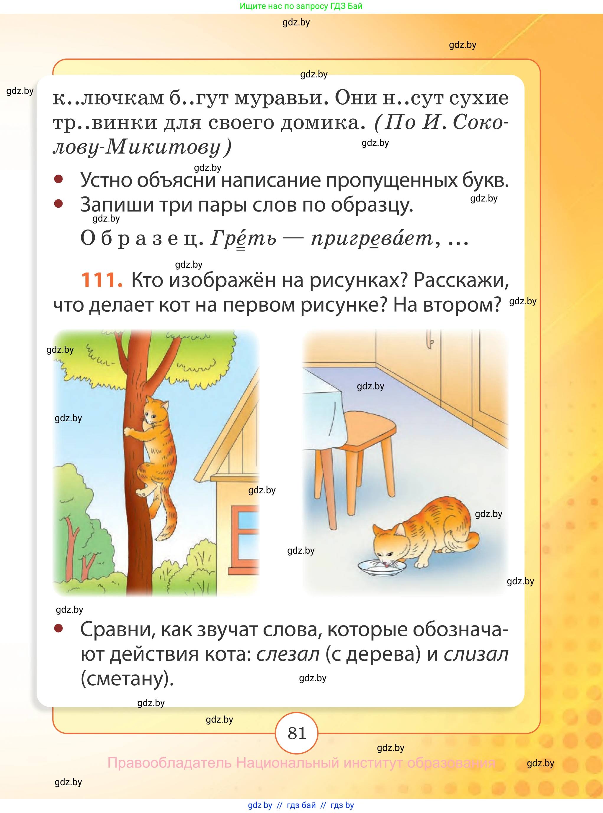 Русский язык, 2 класс Учебник, авторы: Гулецкая Елена Алексеевна, Федорович Галина Михайловна, издательство Национальный институт образования, Минск, 2022, коричневого цвета, Часть 2, страница 81