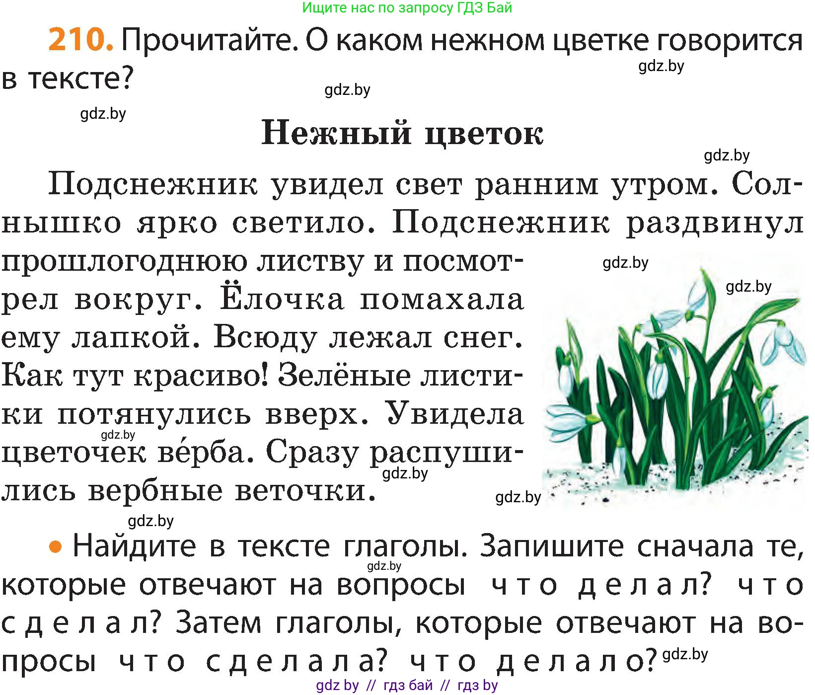 Русский язык, 3 класс Учебник, авторы: Антипова Маргарита Борисовна, Верниковская Алла Викторовна, Грабчикова Елена Самарьевна, издательство Национальный институт образования, Минск, 2023, Часть 2, страница 123, номер 210, Условие