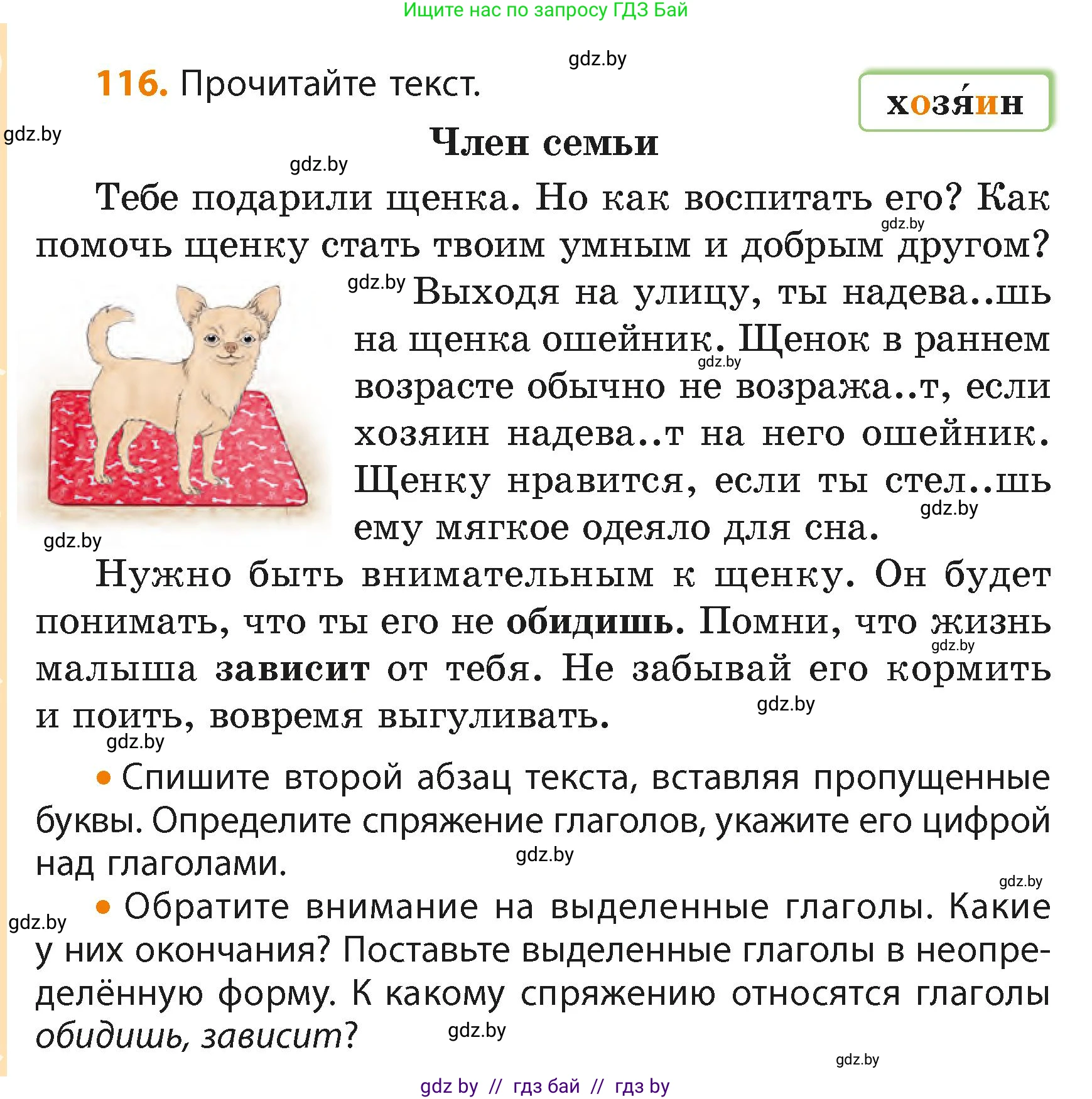 Русский язык, 4 класс Учебник, авторы: Антипова Маргарита Борисовна, Верниковская Алла Викторовна, Грабчикова Елена Самарьевна, издательство Академия образования, Минск, 2024, оранжевого цвета, Часть 2, страница 72, номер 116, Условие