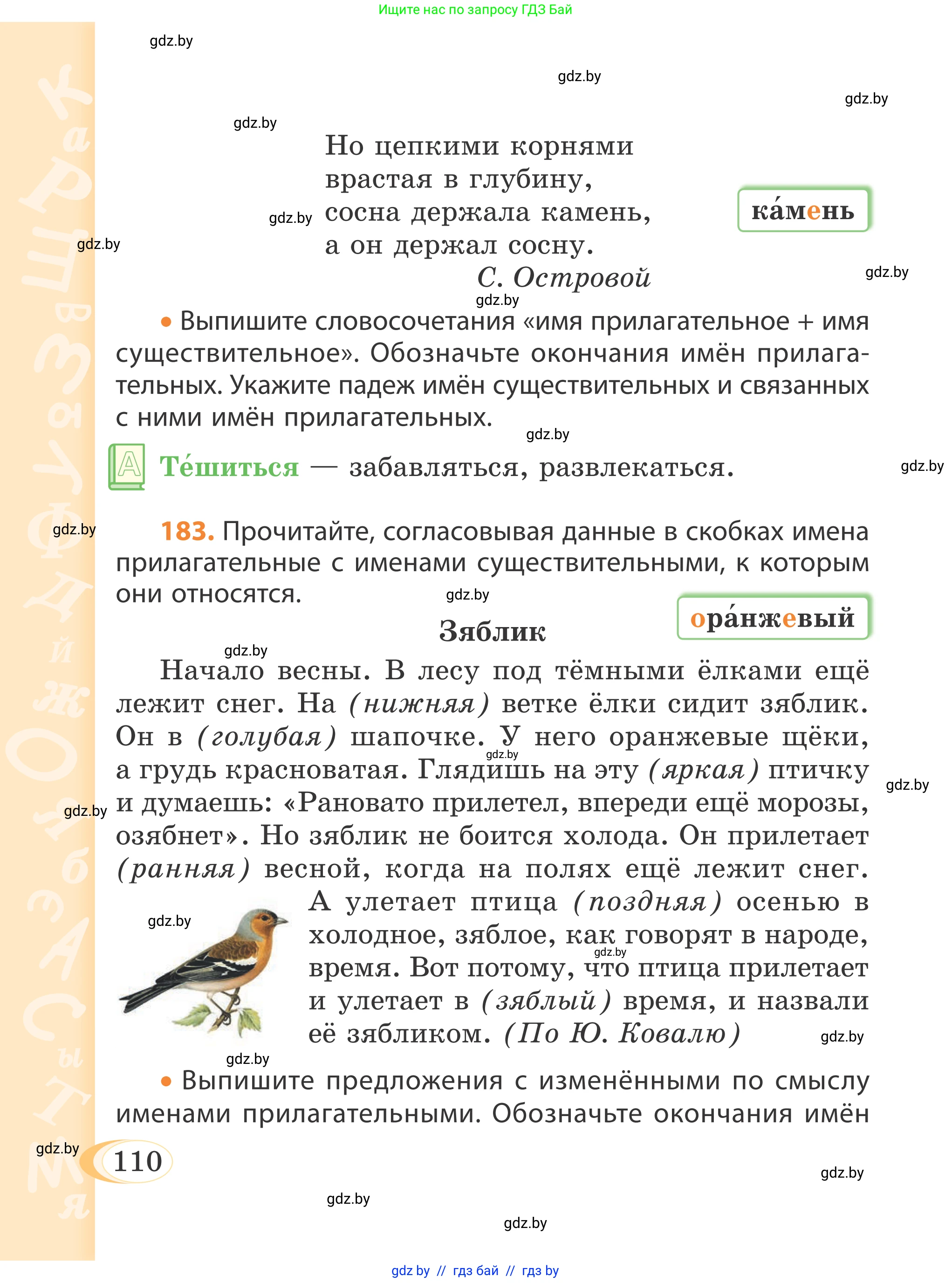 Русский язык, 4 класс Учебник, авторы: Антипова Маргарита Борисовна, Верниковская Алла Викторовна, Грабчикова Елена Самарьевна, издательство Академия образования, Минск, 2024, оранжевого цвета, Часть 1, страница 62, номер 110, Условие