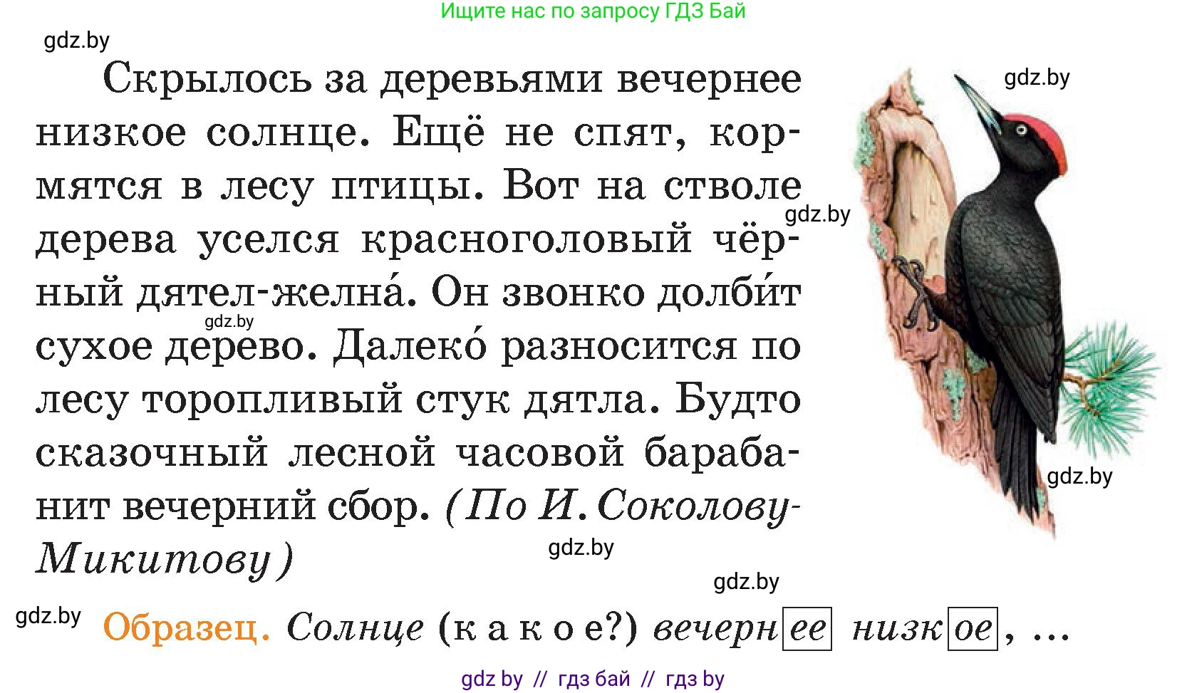 Русский язык, 4 класс Учебник, авторы: Антипова Маргарита Борисовна, Верниковская Алла Викторовна, Грабчикова Елена Самарьевна, издательство Академия образования, Минск, 2024, оранжевого цвета, Часть 1, страница 82, номер 145, Условие (продолжение 2)