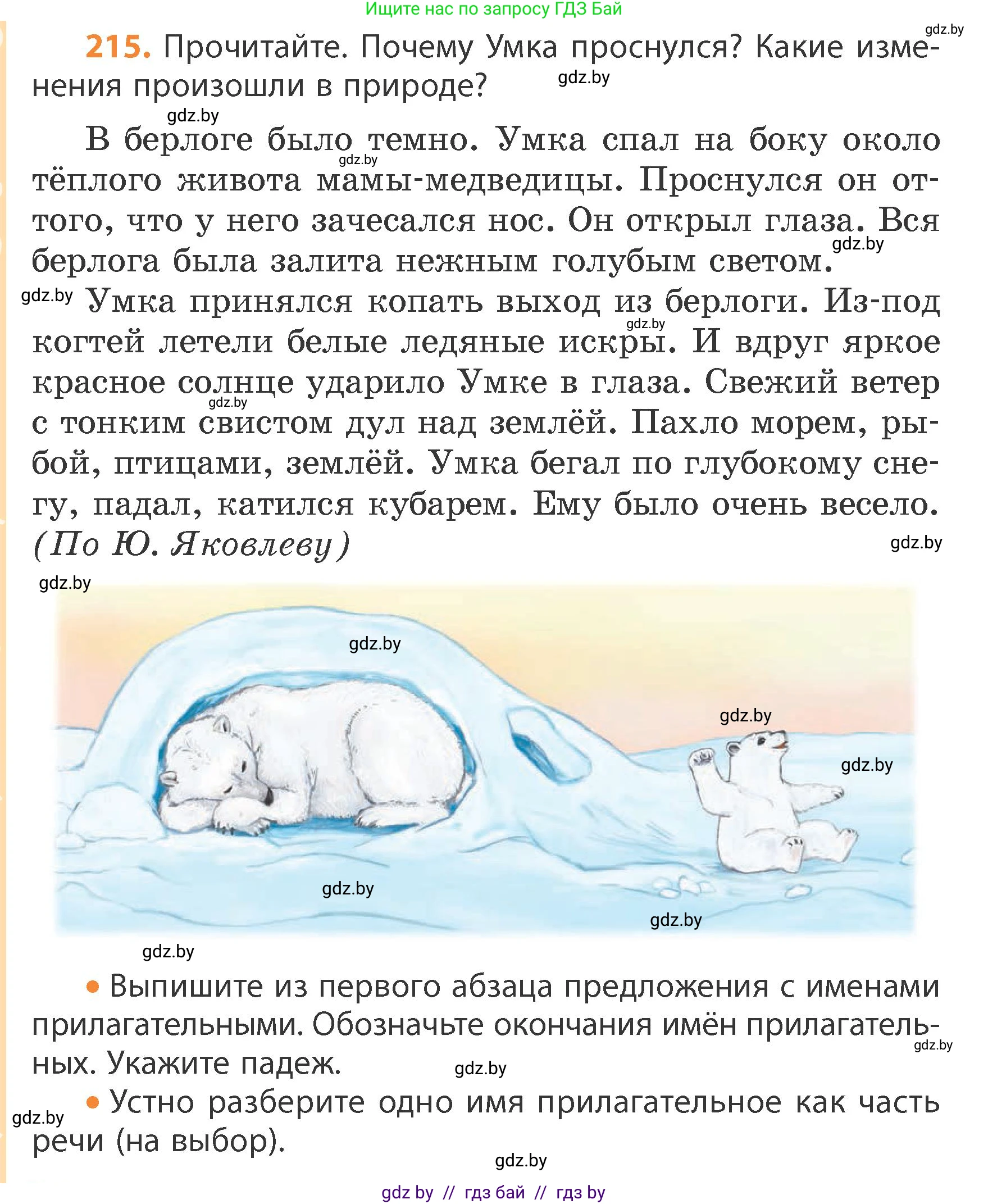 Русский язык, 4 класс Учебник, авторы: Антипова Маргарита Борисовна, Верниковская Алла Викторовна, Грабчикова Елена Самарьевна, издательство Академия образования, Минск, 2024, оранжевого цвета, Часть 1, страница 132, номер 215, Условие