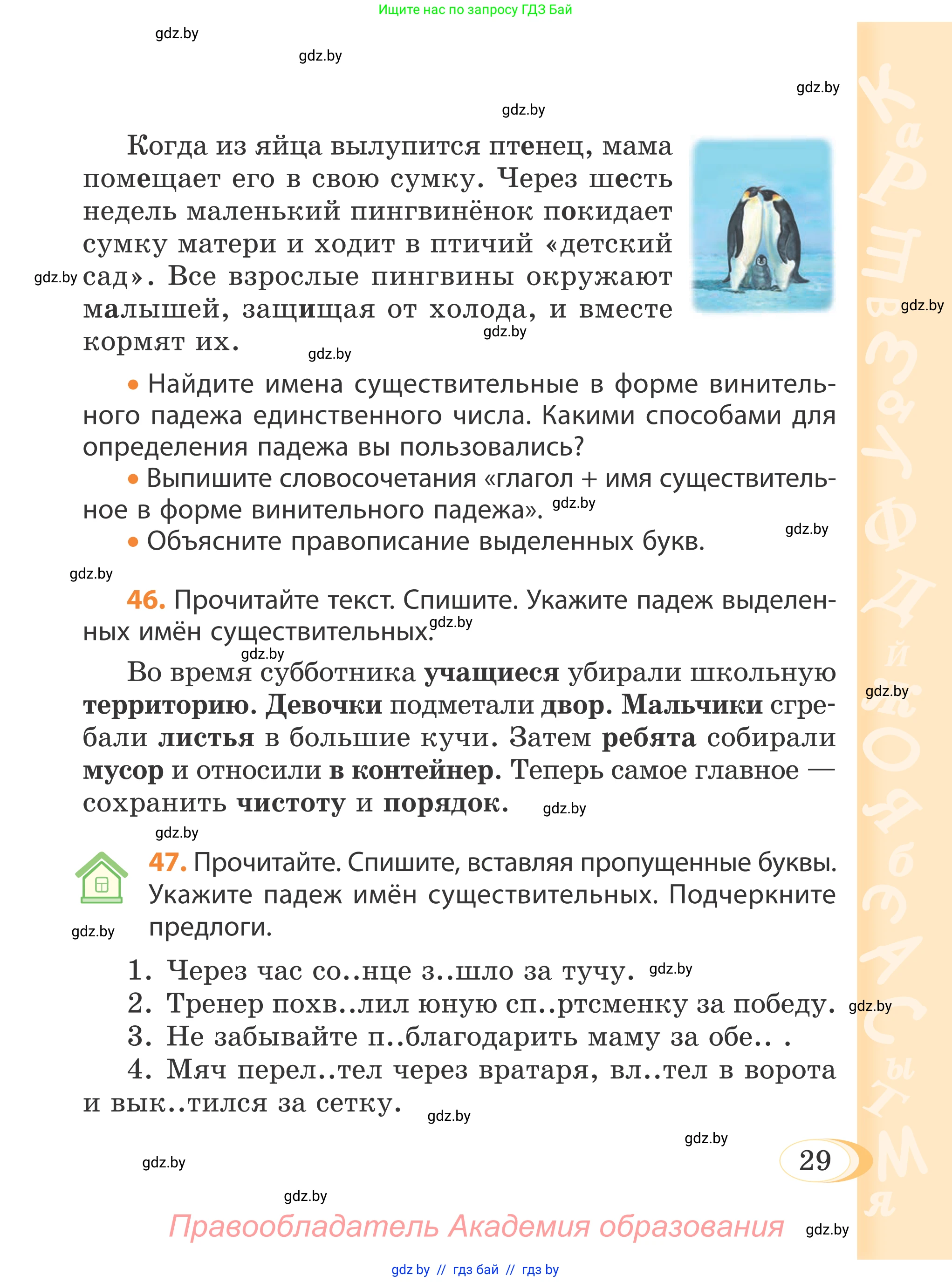 Русский язык, 4 класс Учебник, авторы: Антипова Маргарита Борисовна, Верниковская Алла Викторовна, Грабчикова Елена Самарьевна, издательство Академия образования, Минск, 2024, оранжевого цвета, Часть 1, страница 20, номер 29, Условие