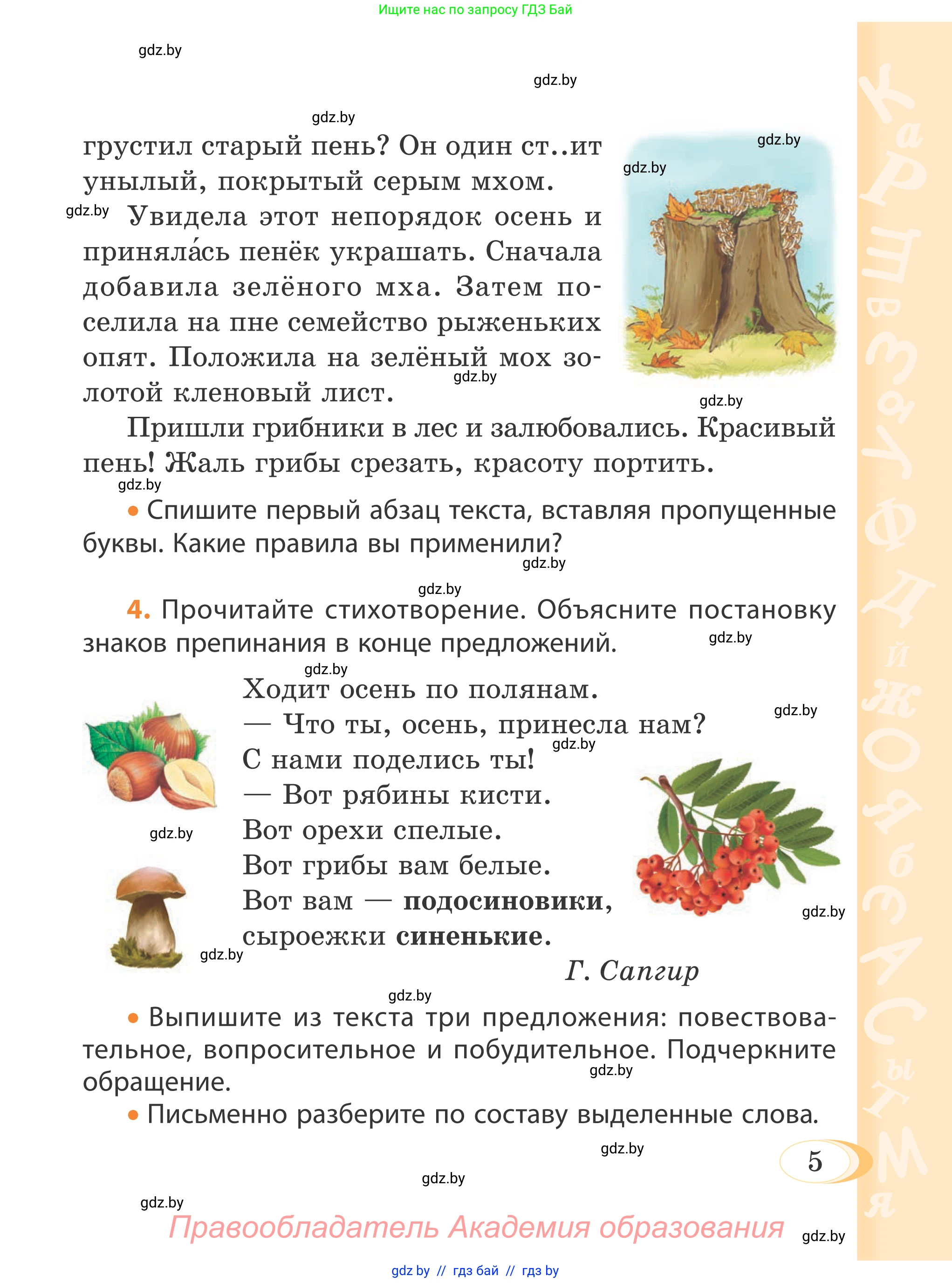 Русский язык, 4 класс Учебник, авторы: Антипова Маргарита Борисовна, Верниковская Алла Викторовна, Грабчикова Елена Самарьевна, издательство Академия образования, Минск, 2024, оранжевого цвета, Часть 1, страница 6, номер 5, Условие