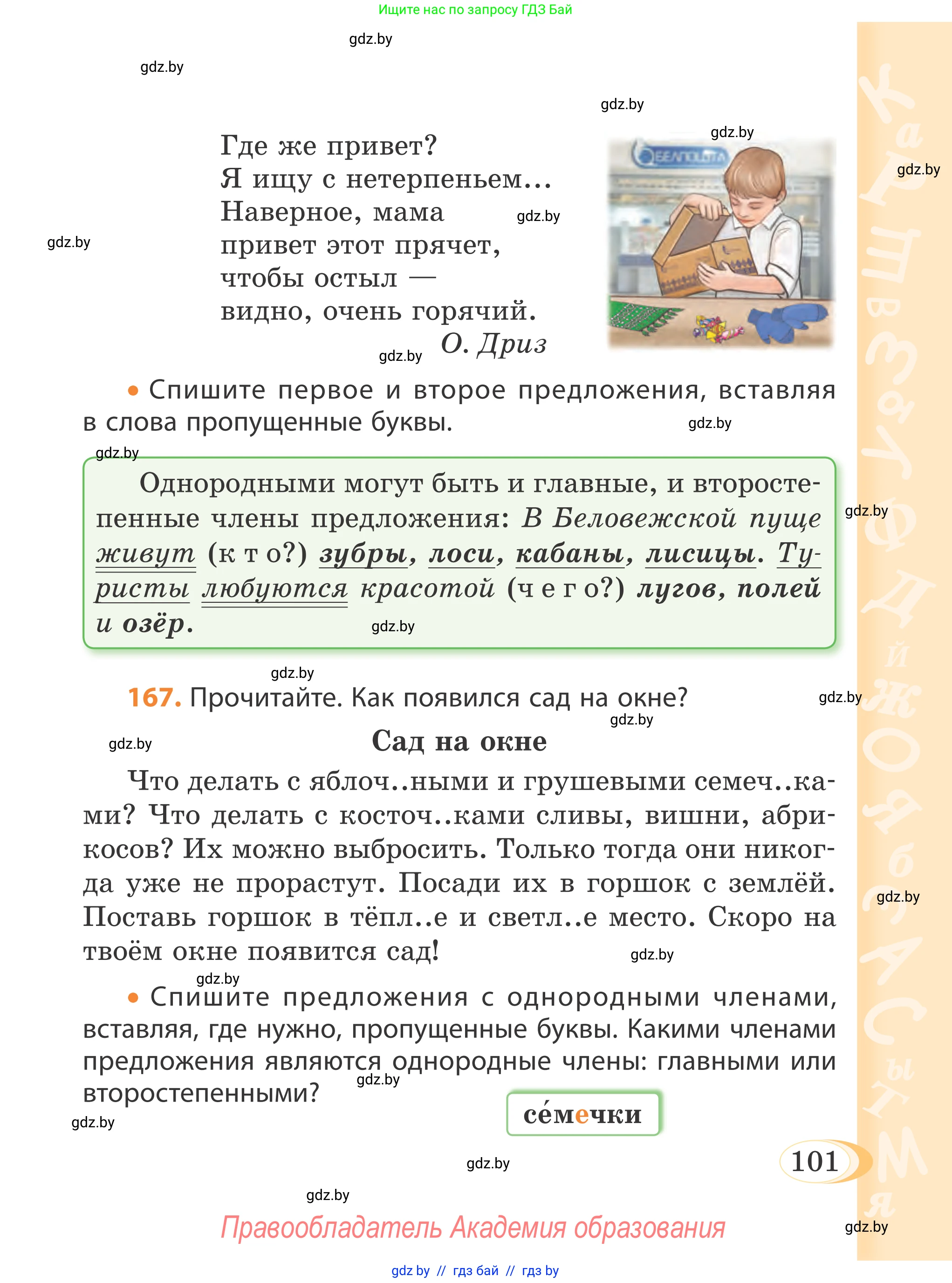 Русский язык, 4 класс Учебник, авторы: Антипова Маргарита Борисовна, Верниковская Алла Викторовна, Грабчикова Елена Самарьевна, издательство Академия образования, Минск, 2024, оранжевого цвета, Часть 2, страница 101