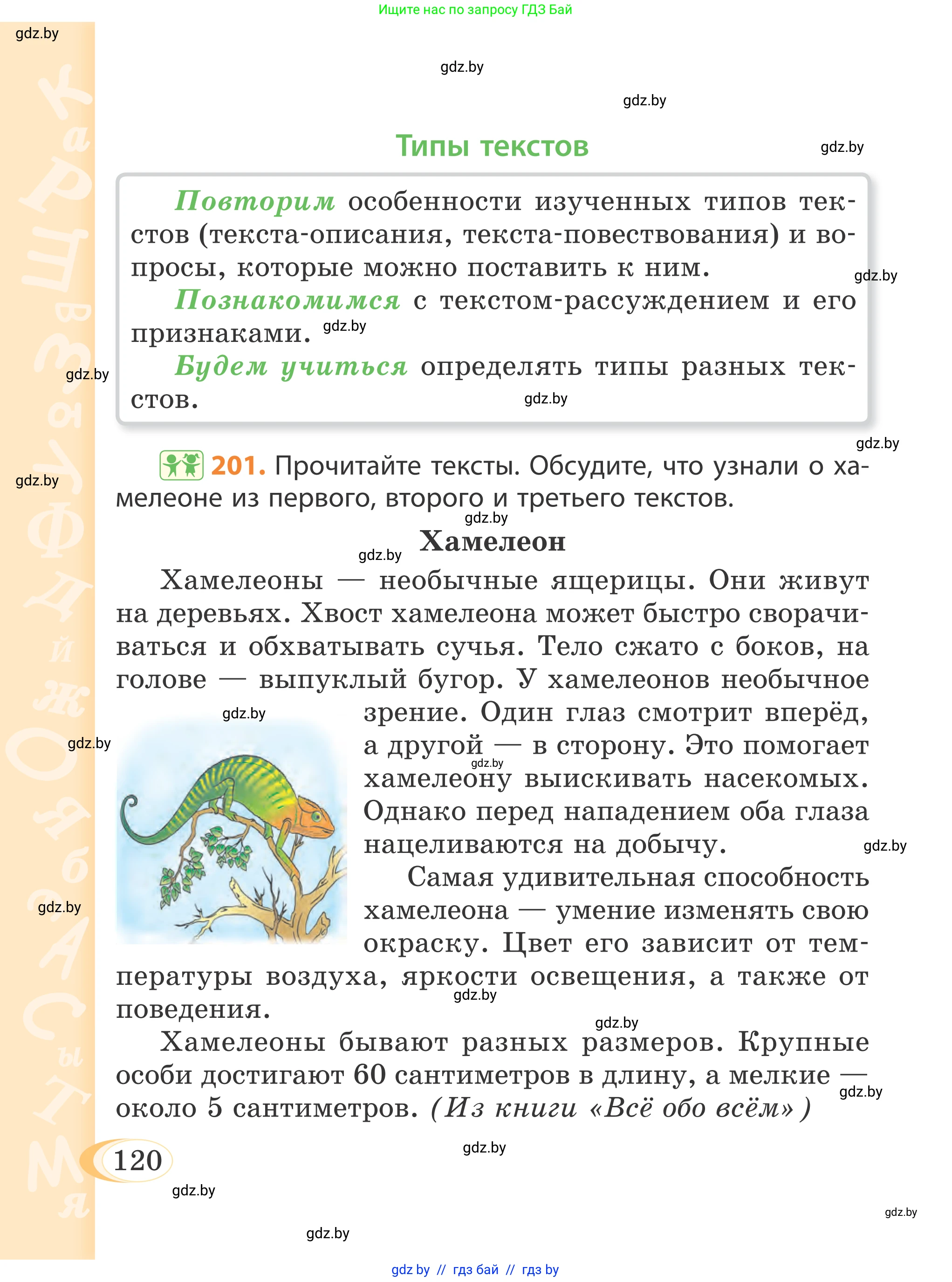 Русский язык, 4 класс Учебник, авторы: Антипова Маргарита Борисовна, Верниковская Алла Викторовна, Грабчикова Елена Самарьевна, издательство Академия образования, Минск, 2024, оранжевого цвета, Часть 2, страница 120
