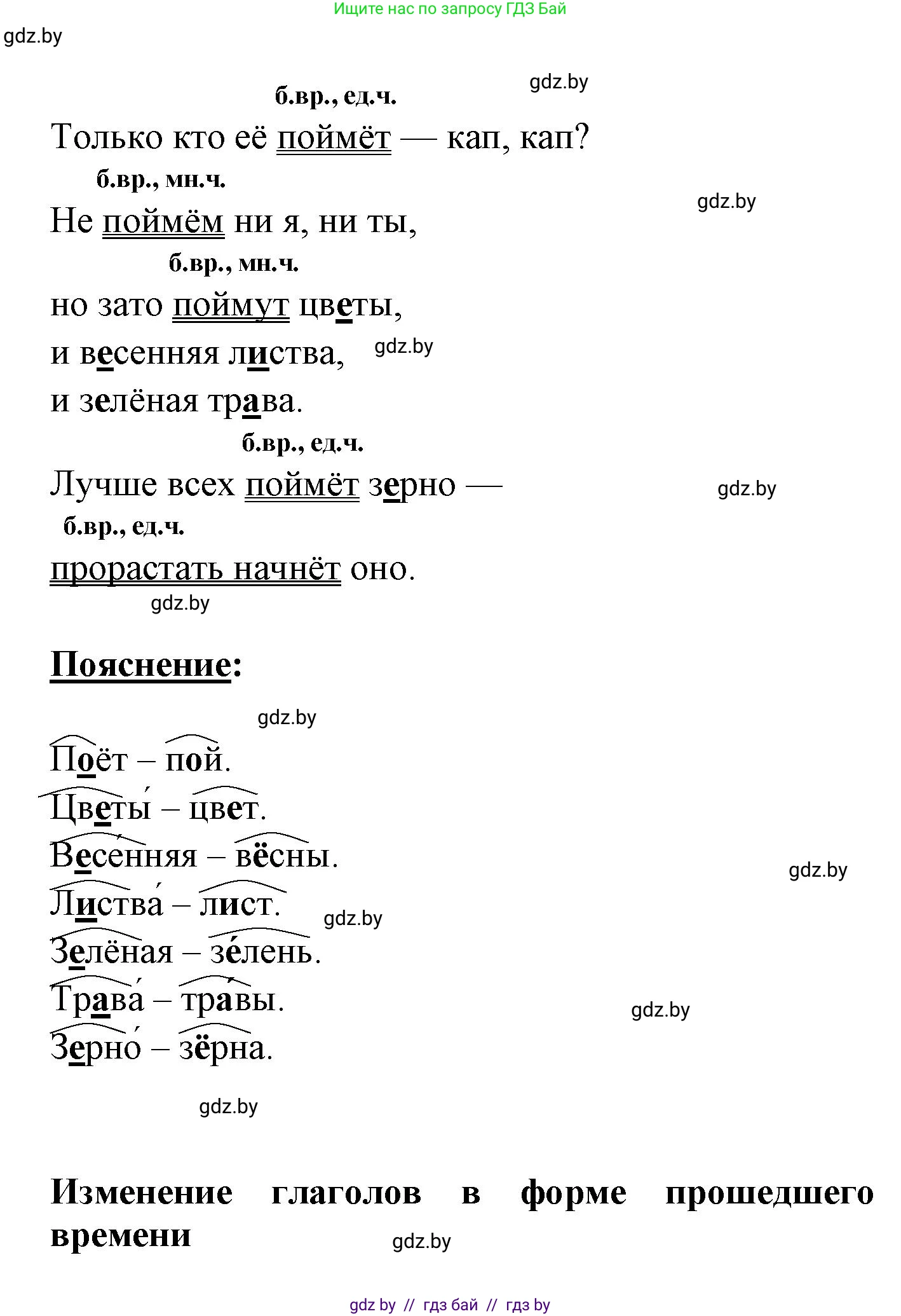 Русский язык, 4 класс Учебник, авторы: Антипова Маргарита Борисовна, Верниковская Алла Викторовна, Грабчикова Елена Самарьевна, издательство Академия образования, Минск, 2024, оранжевого цвета, Часть 2, страница 30, номер 44, Решение (продолжение 2)