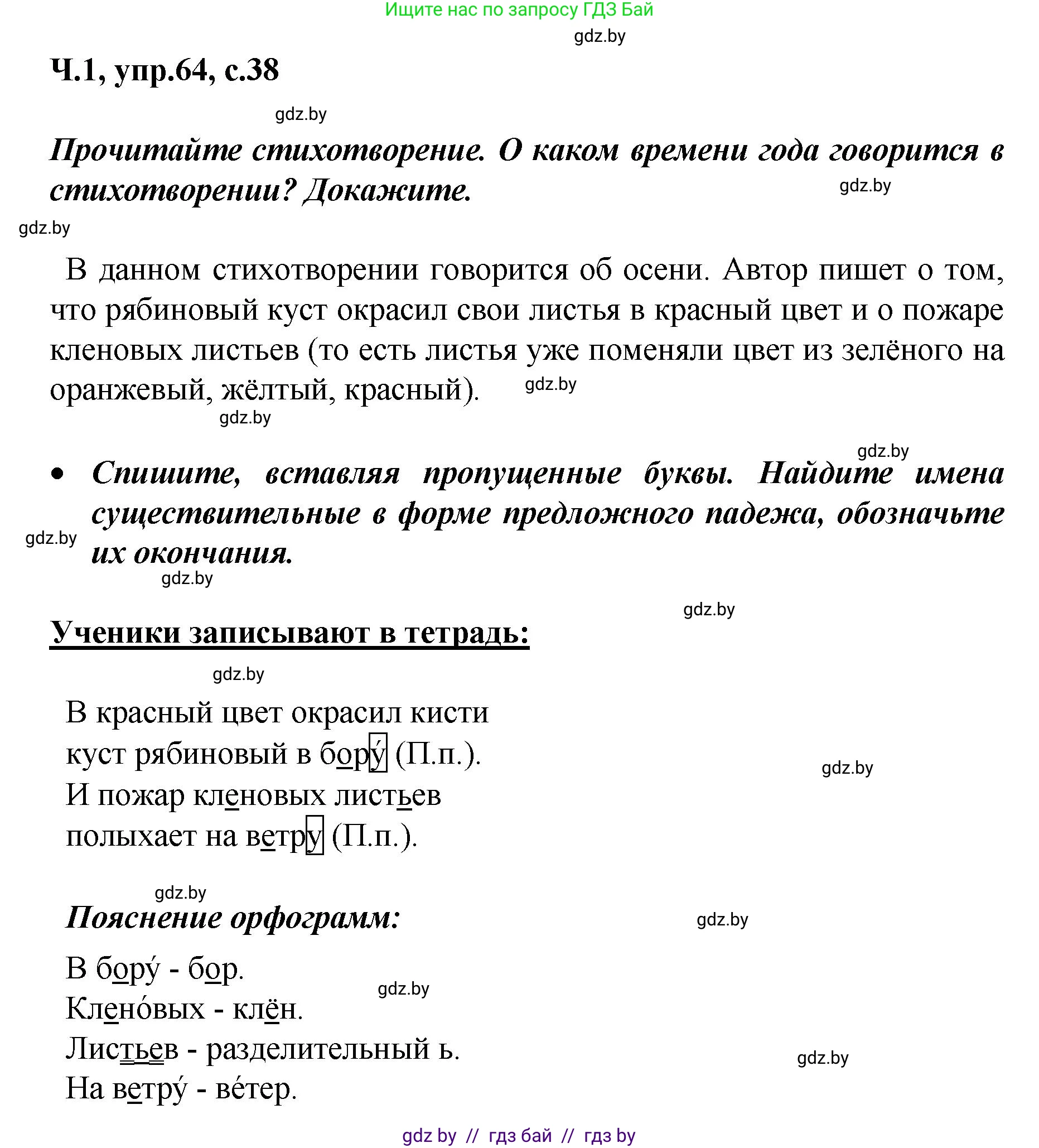 Русский язык, 4 класс Учебник, авторы: Антипова Маргарита Борисовна, Верниковская Алла Викторовна, Грабчикова Елена Самарьевна, издательство Академия образования, Минск, 2024, оранжевого цвета, Часть 1, страница 38, номер 64, Решение