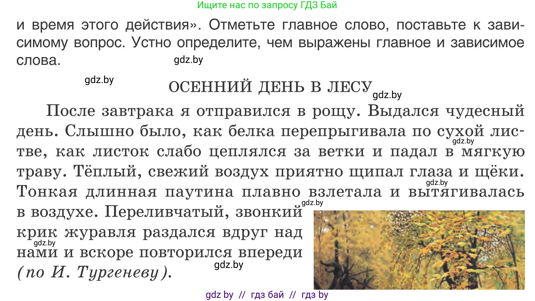 Русский язык, 5 класс Учебник, авторы: Мурина Лариса Александровна, Игнатович Татьяна Владимировна, Жадейко Жанна Фёдоровна, издательство Академия образования, Минск, 2025, голубого цвета, Часть 1, страница 75, номер 123, Условие (продолжение 2)