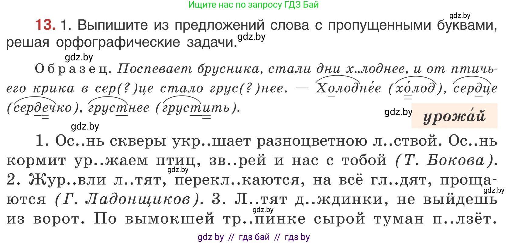 Русский язык, 5 класс Учебник, авторы: Мурина Лариса Александровна, Игнатович Татьяна Владимировна, Жадейко Жанна Фёдоровна, издательство Академия образования, Минск, 2025, голубого цвета, Часть 1, страница 14, номер 13, Условие