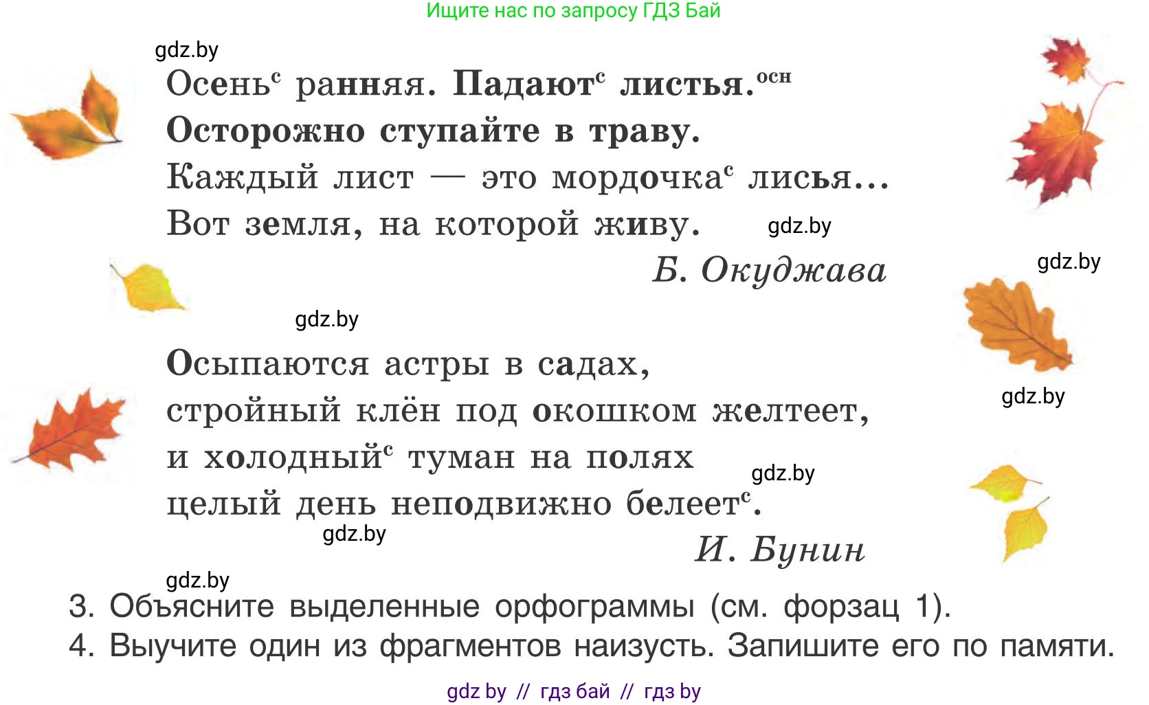 Русский язык, 5 класс Учебник, авторы: Мурина Лариса Александровна, Игнатович Татьяна Владимировна, Жадейко Жанна Фёдоровна, издательство Академия образования, Минск, 2025, голубого цвета, Часть 1, страница 16, номер 17, Условие (продолжение 2)