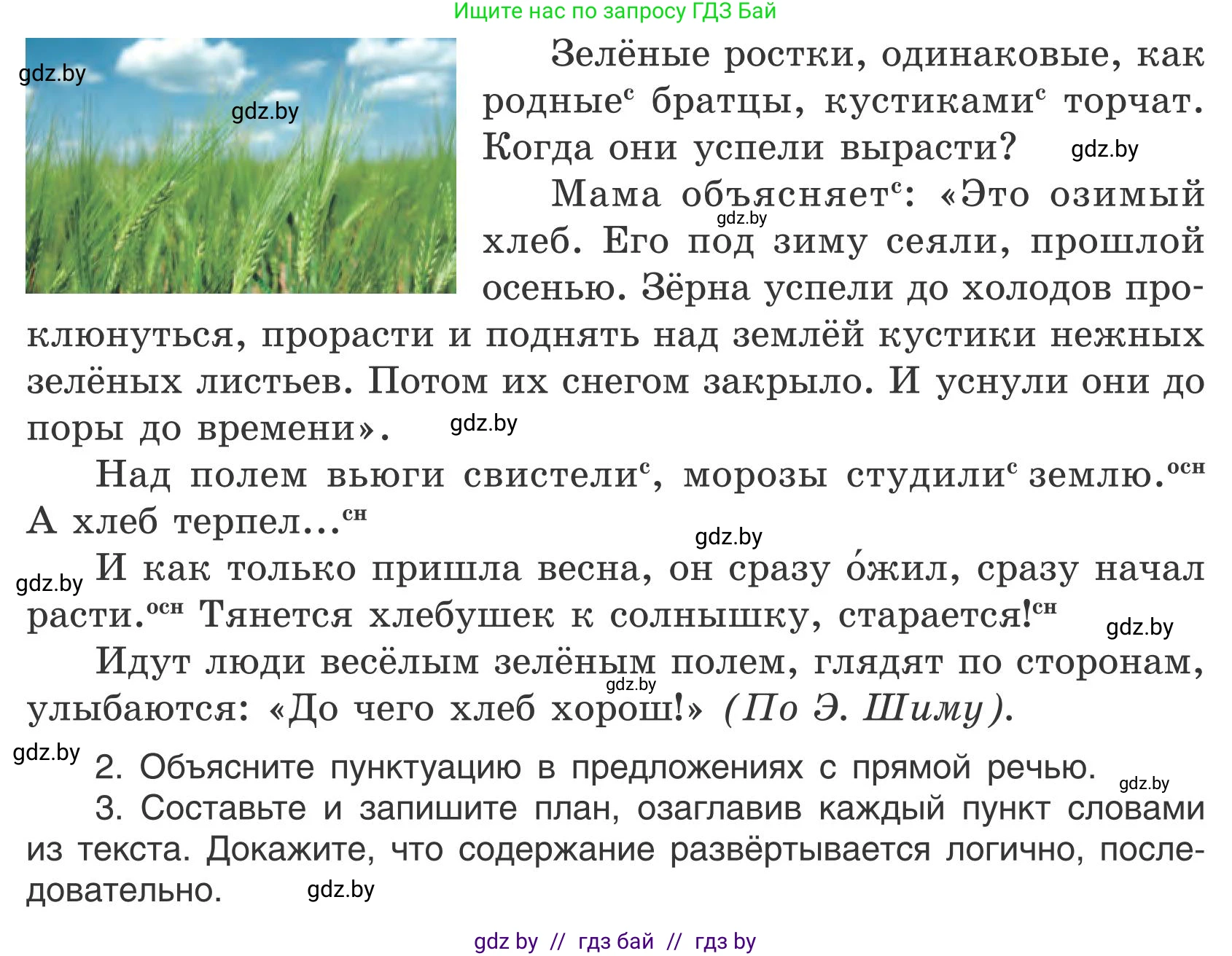 Русский язык, 5 класс Учебник, авторы: Мурина Лариса Александровна, Игнатович Татьяна Владимировна, Жадейко Жанна Фёдоровна, издательство Академия образования, Минск, 2025, голубого цвета, Часть 1, страница 121, номер 213, Условие (продолжение 2)