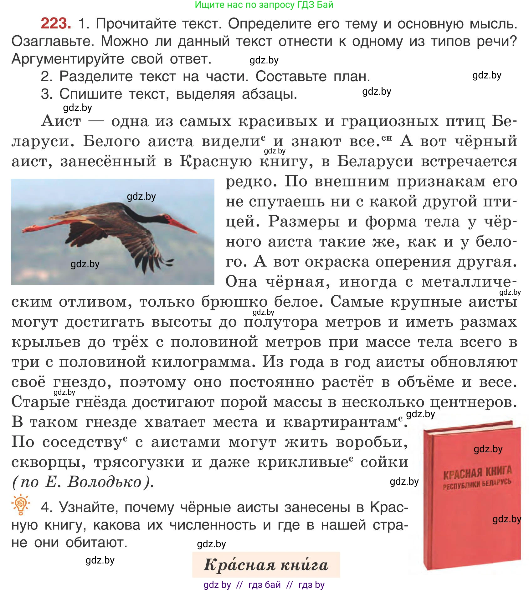 Русский язык, 5 класс Учебник, авторы: Мурина Лариса Александровна, Игнатович Татьяна Владимировна, Жадейко Жанна Фёдоровна, издательство Академия образования, Минск, 2025, голубого цвета, Часть 1, страница 130, номер 223, Условие