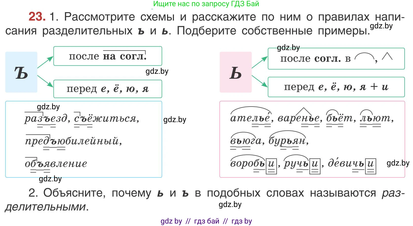 Русский язык, 5 класс Учебник, авторы: Мурина Лариса Александровна, Игнатович Татьяна Владимировна, Жадейко Жанна Фёдоровна, издательство Академия образования, Минск, 2025, голубого цвета, Часть 1, страница 19, номер 23, Условие