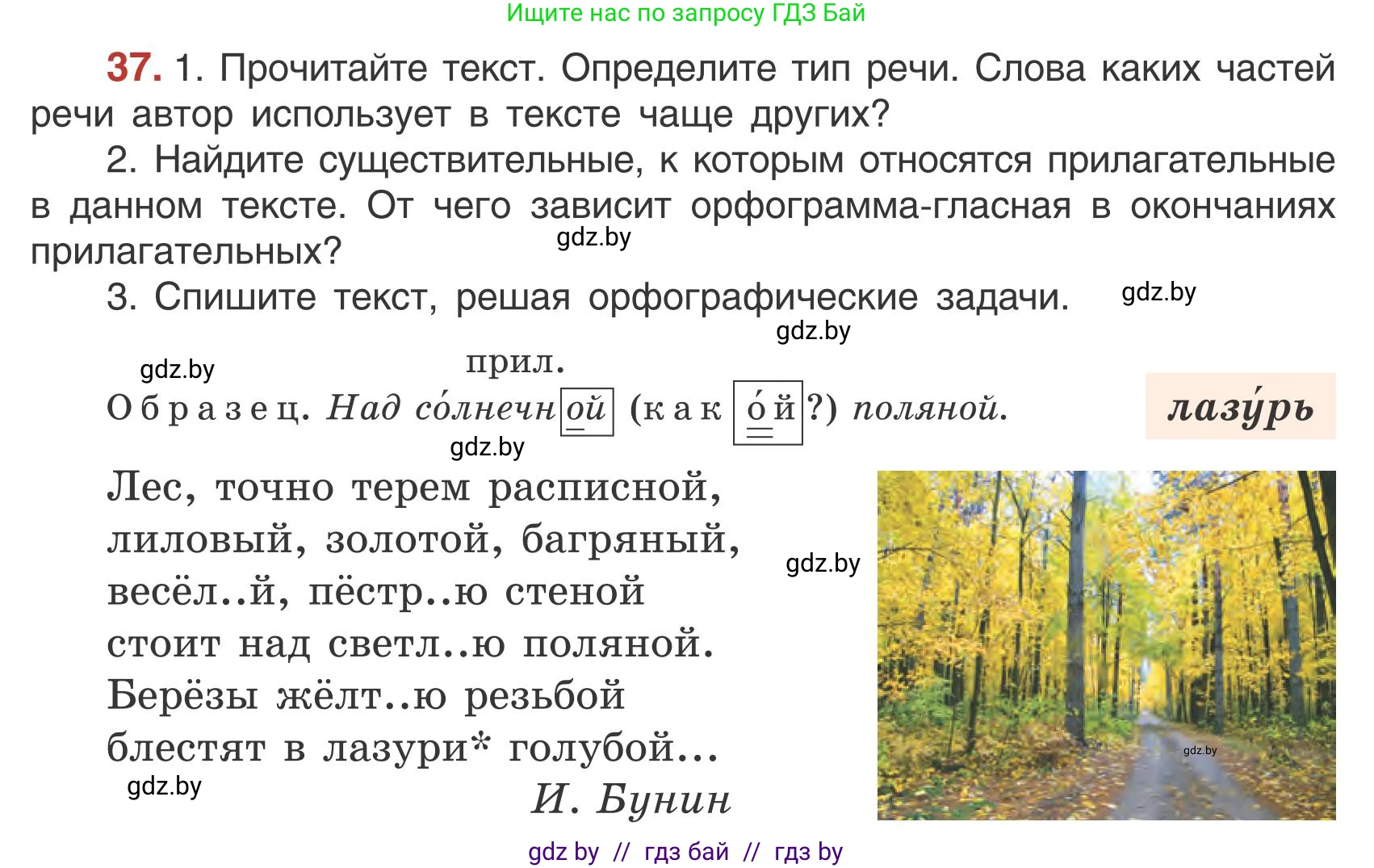 Русский язык, 5 класс Учебник, авторы: Мурина Лариса Александровна, Игнатович Татьяна Владимировна, Жадейко Жанна Фёдоровна, издательство Академия образования, Минск, 2025, голубого цвета, Часть 1, страница 27, номер 37, Условие